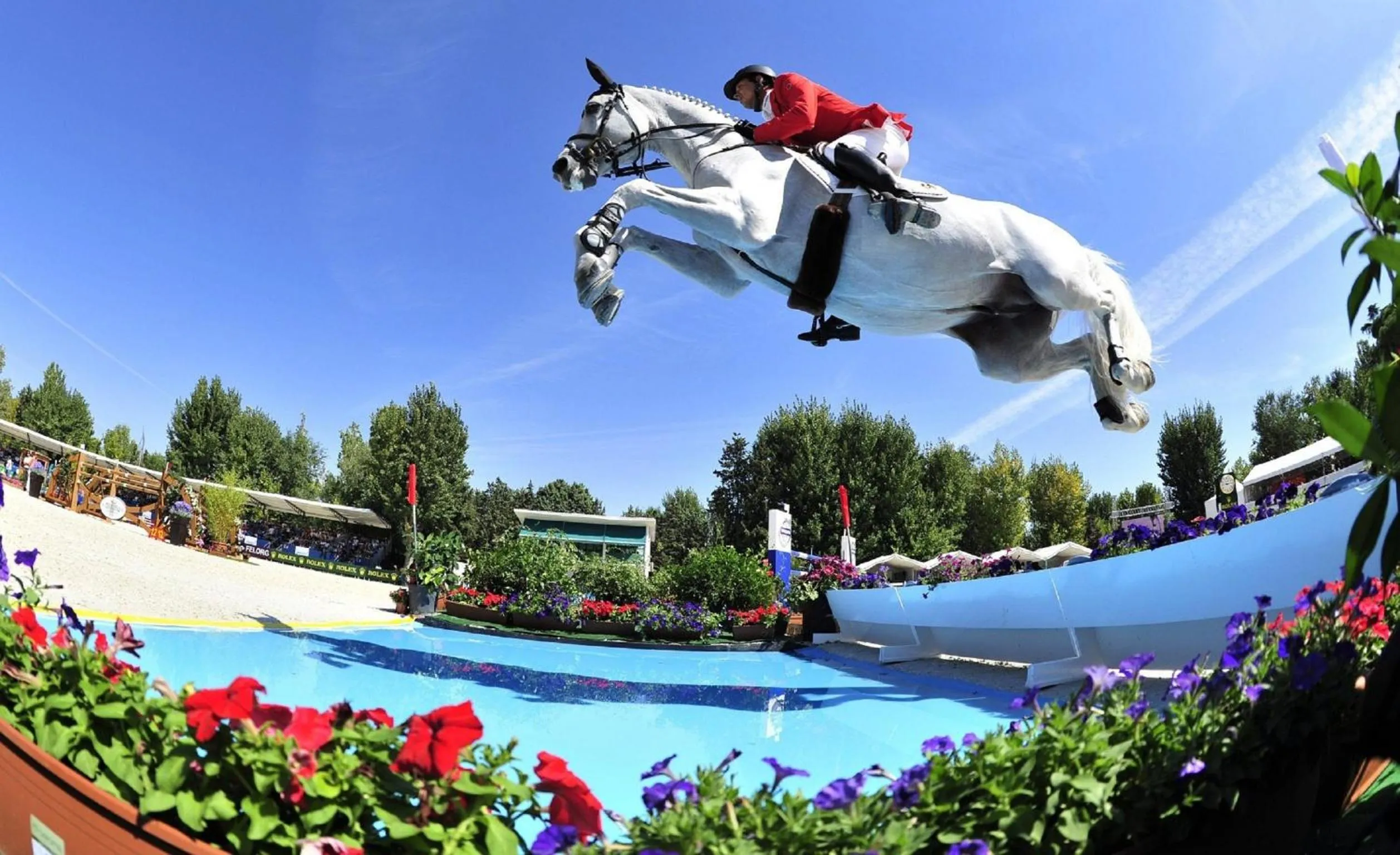 Day in Hotel Paradiso