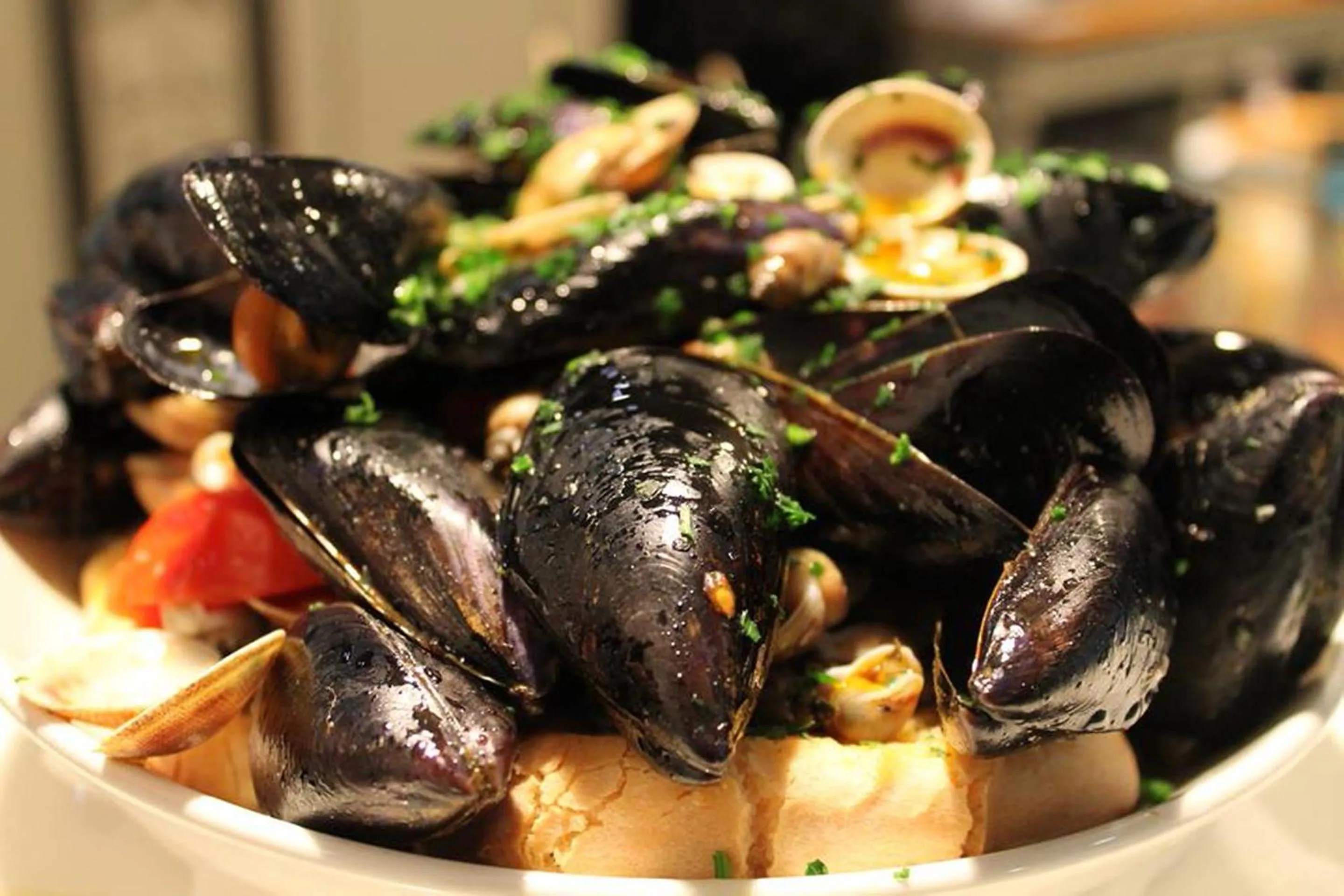 Restaurant/places to eat in Stelle Hotel The Businest