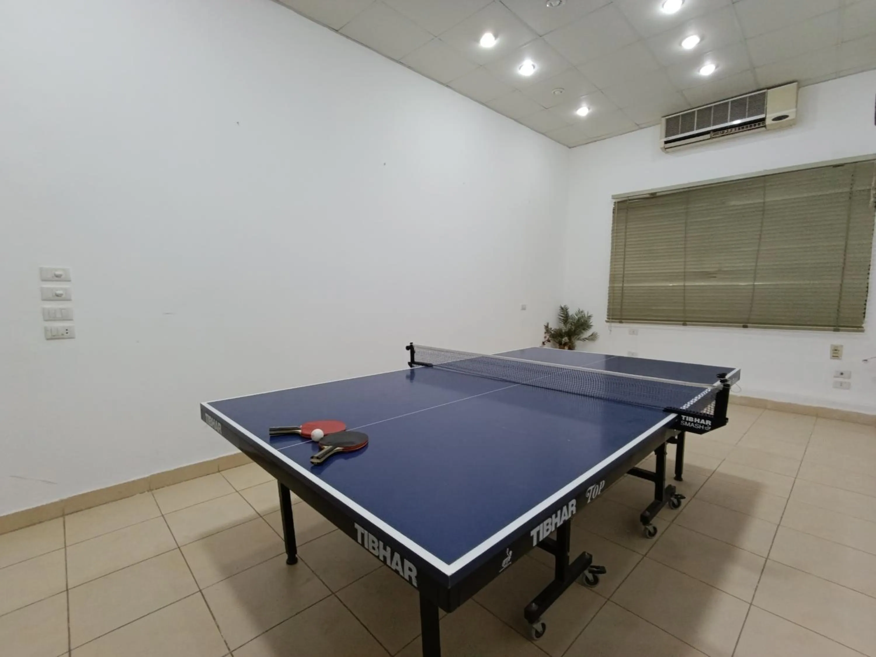 Table tennis in Zak Inn
