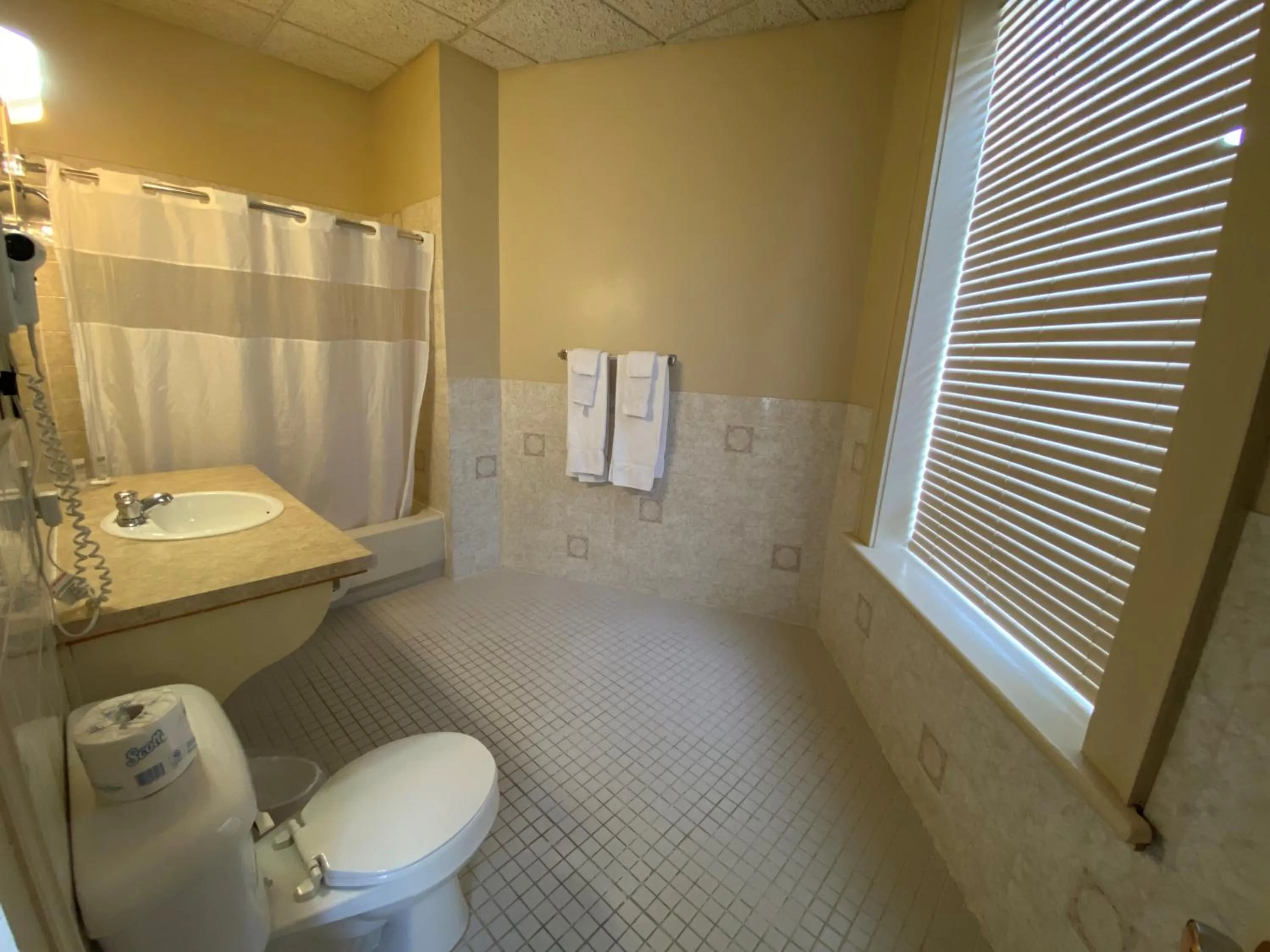 Shower in Hotel Bedford