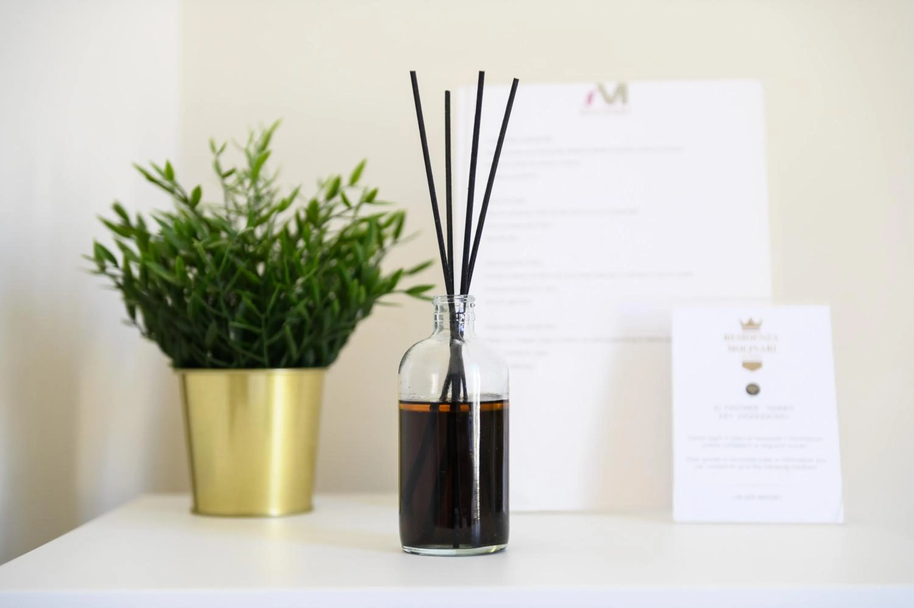 Residenza Molinari Suite