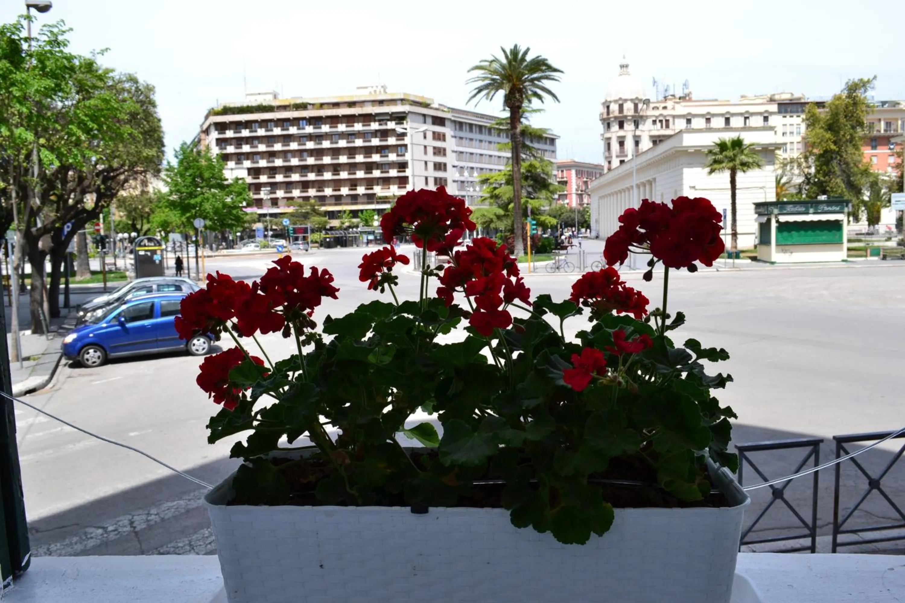 Day in Conte di Cavour