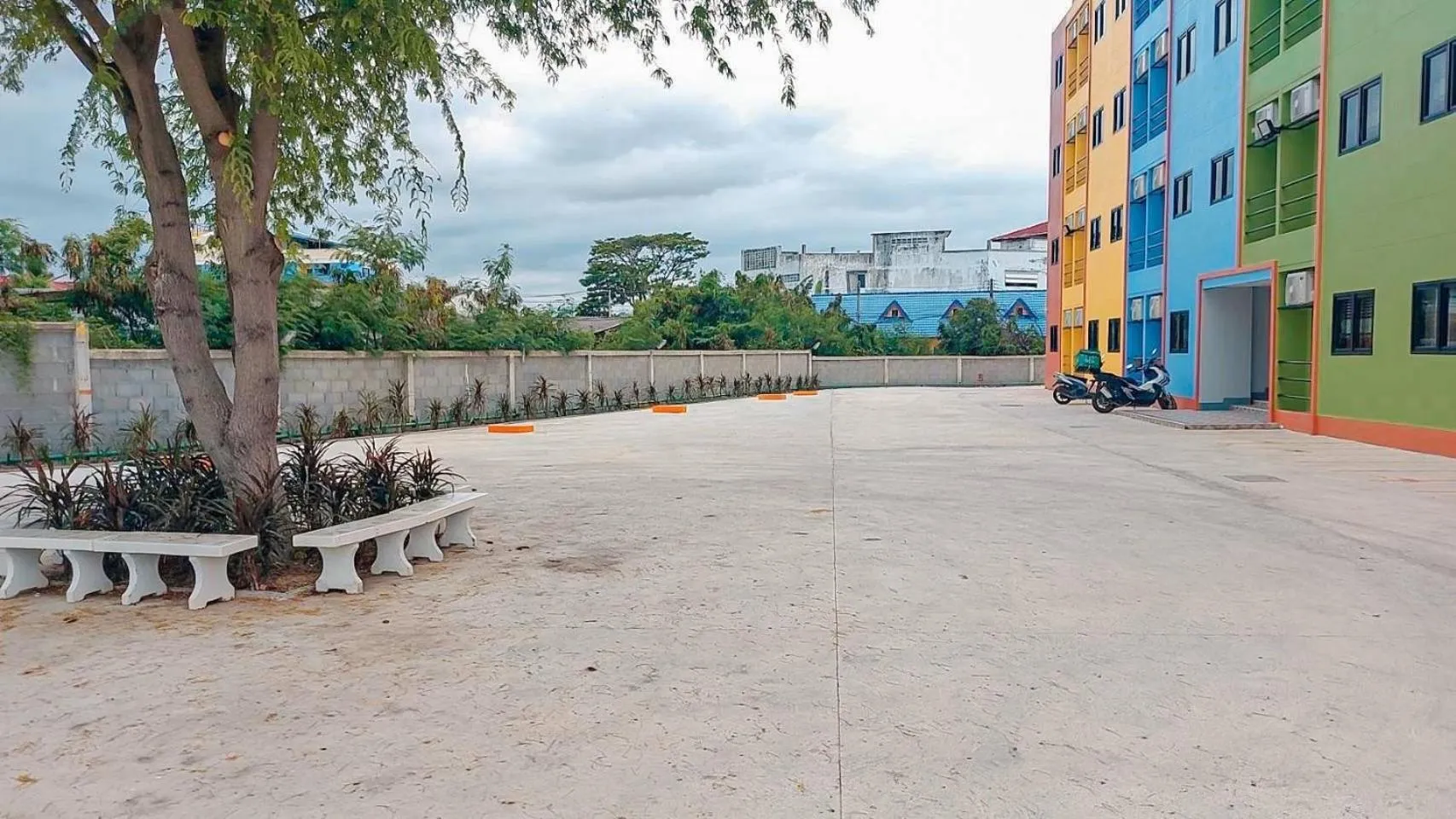 Garden in Dinosaur Apartment