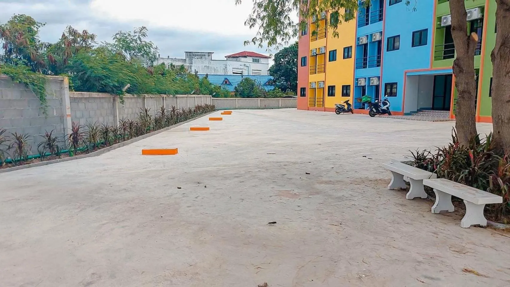 Garden in Dinosaur Apartment