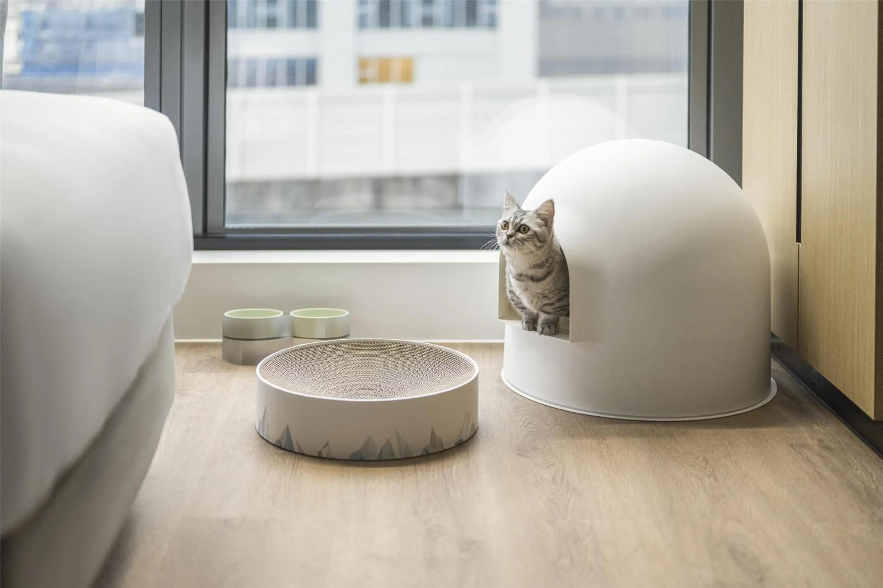 Bedroom in Hyatt Place New Taipei City Xinzhuang