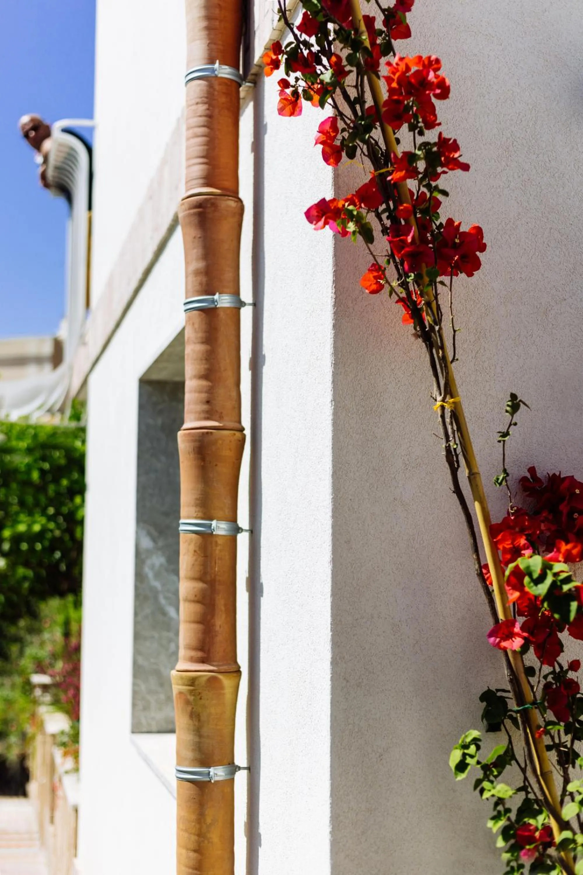 Facade/entrance in Casa Giafari