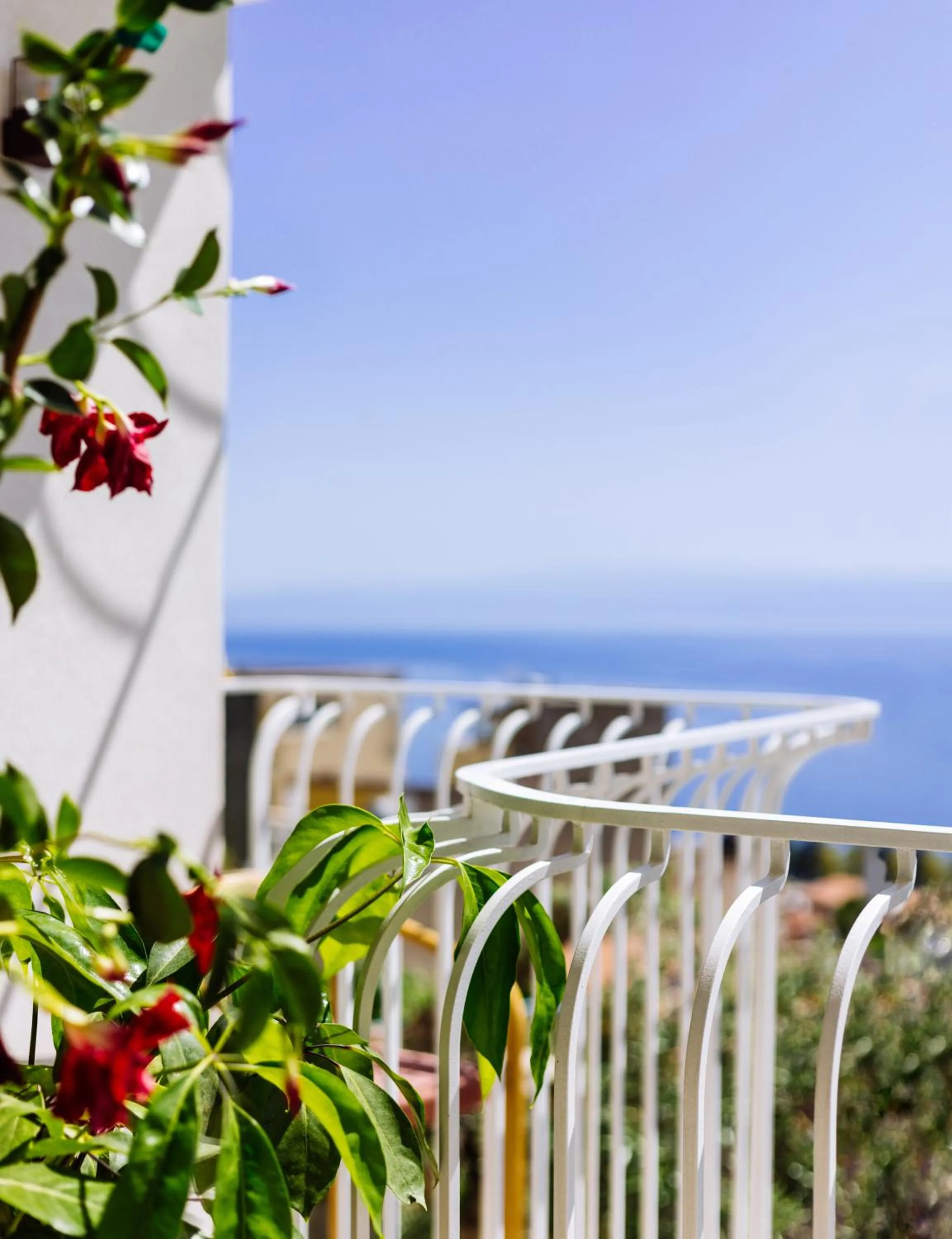 Balcony/Terrace in Casa Giafari