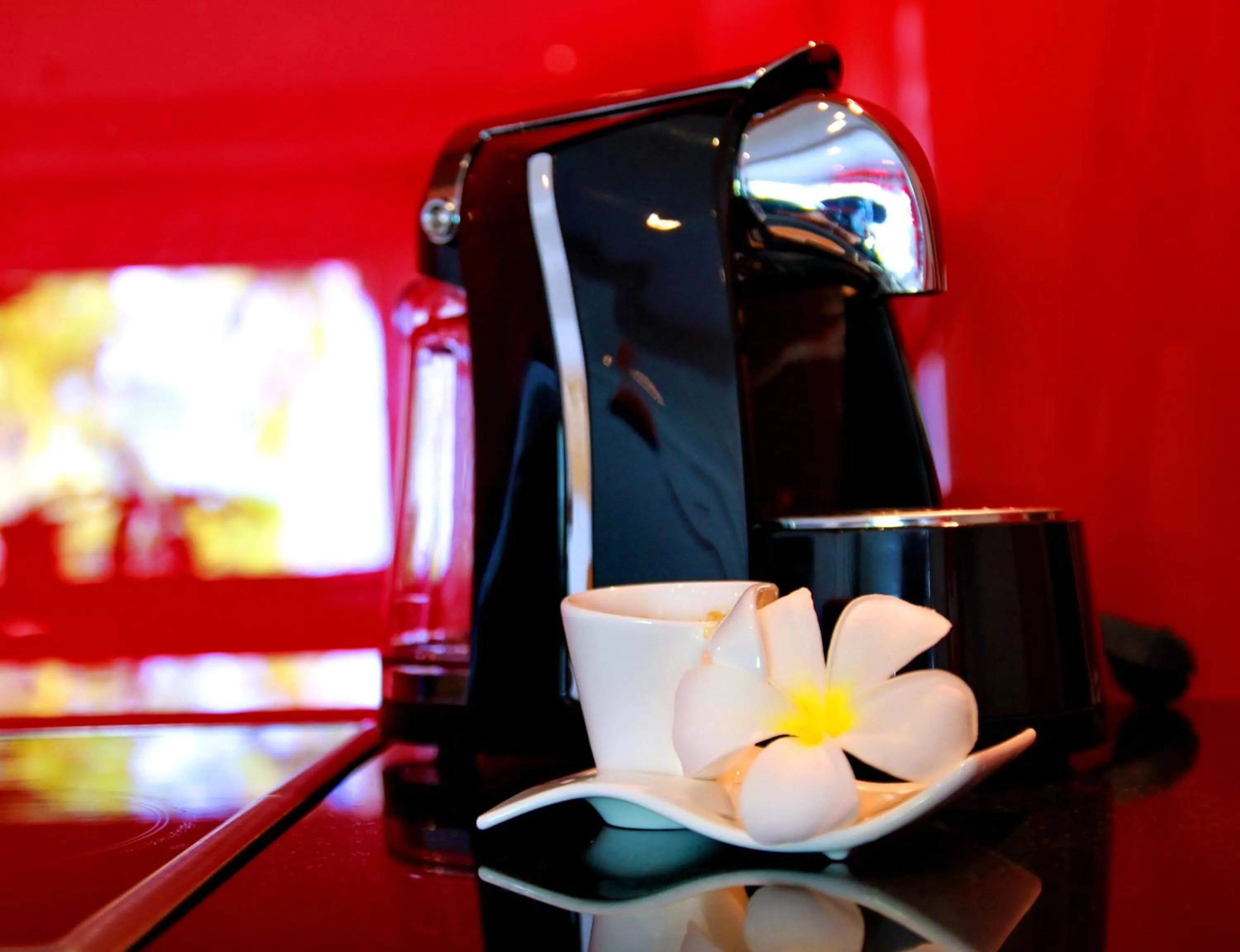 Shambhala Beach Resort