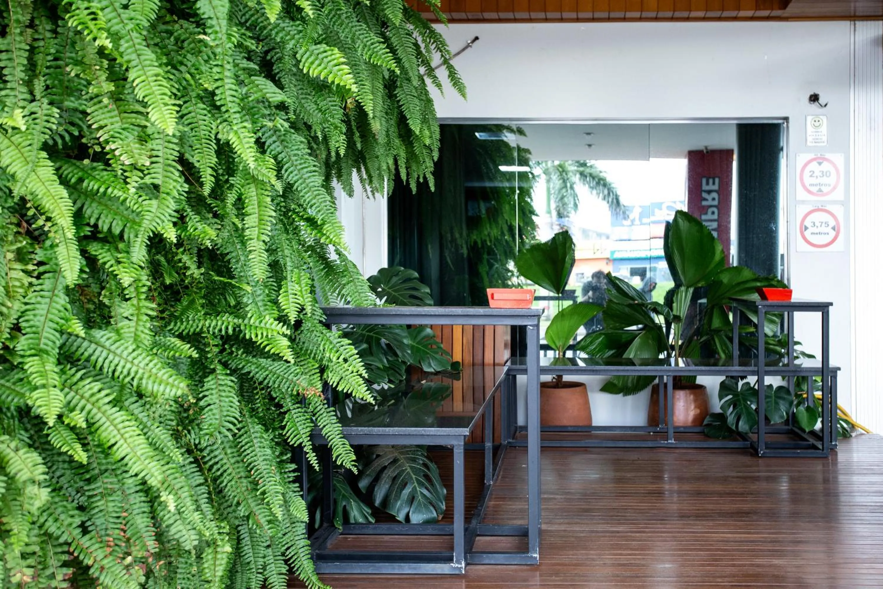 Garden in Tezla Hotel