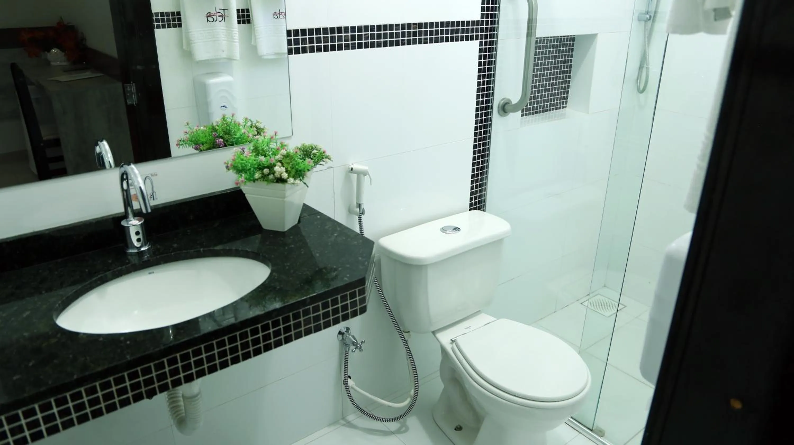 Shower in Tezla Hotel