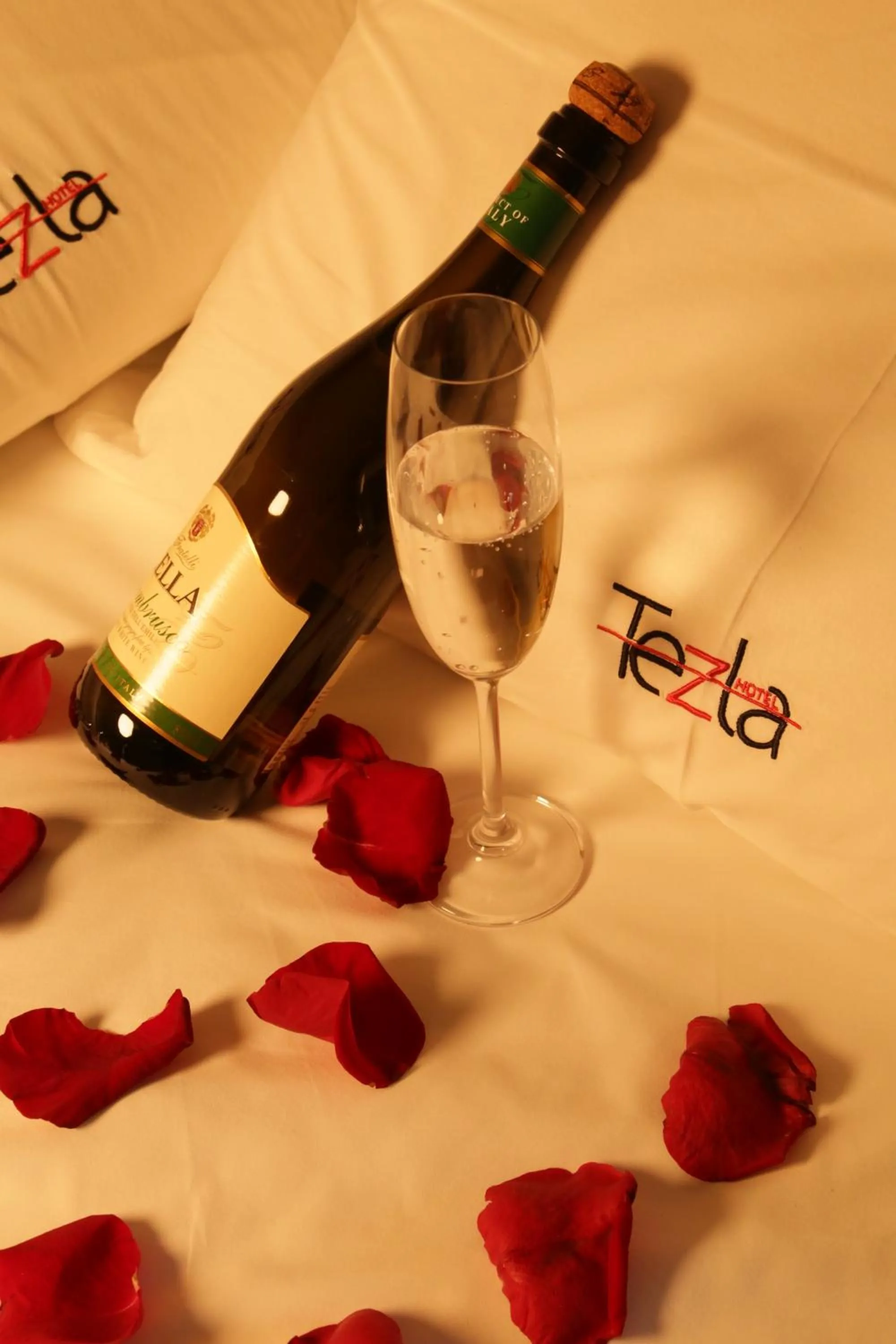 Property logo or sign in Tezla Hotel