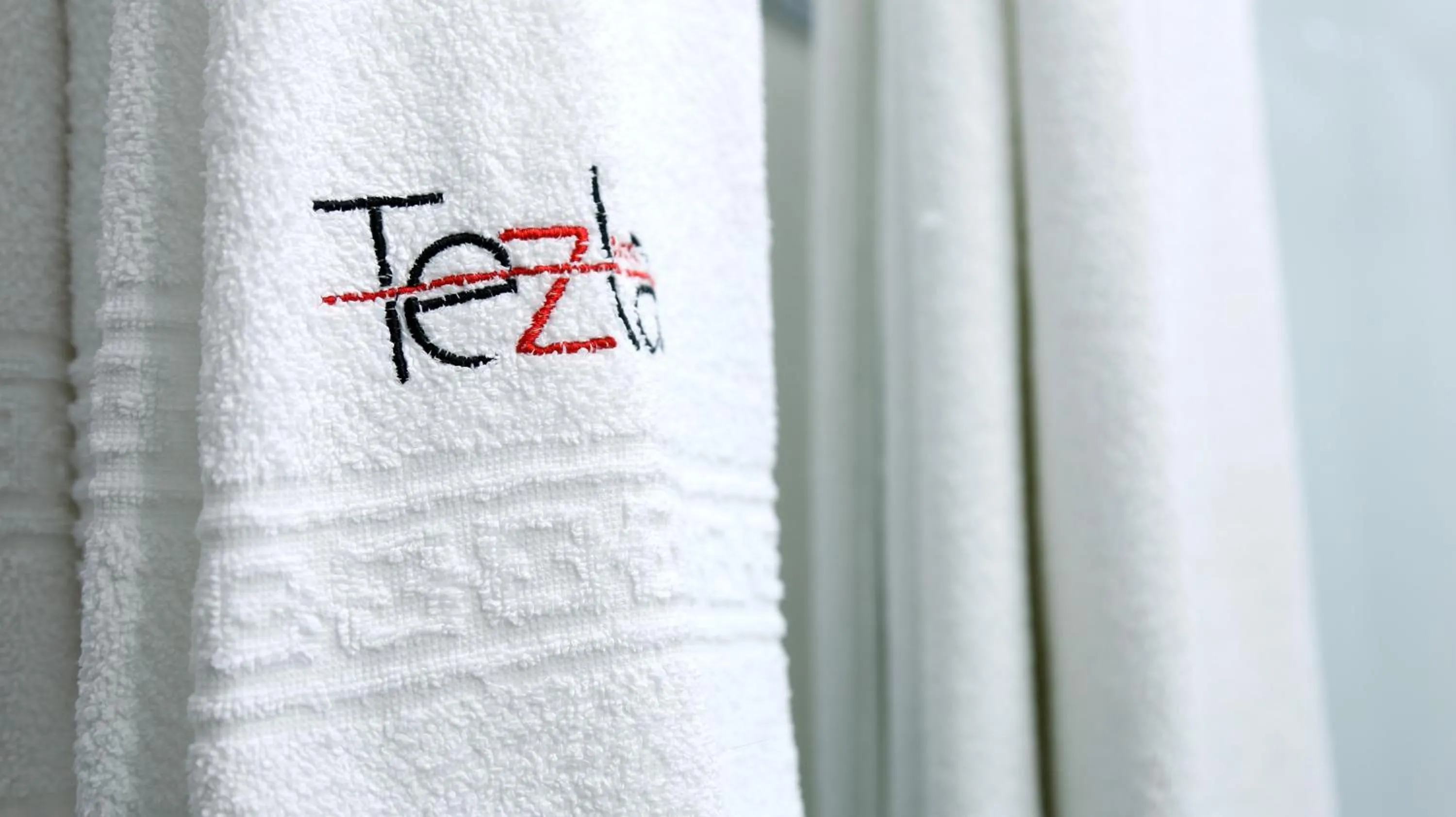 Property logo or sign in Tezla Hotel