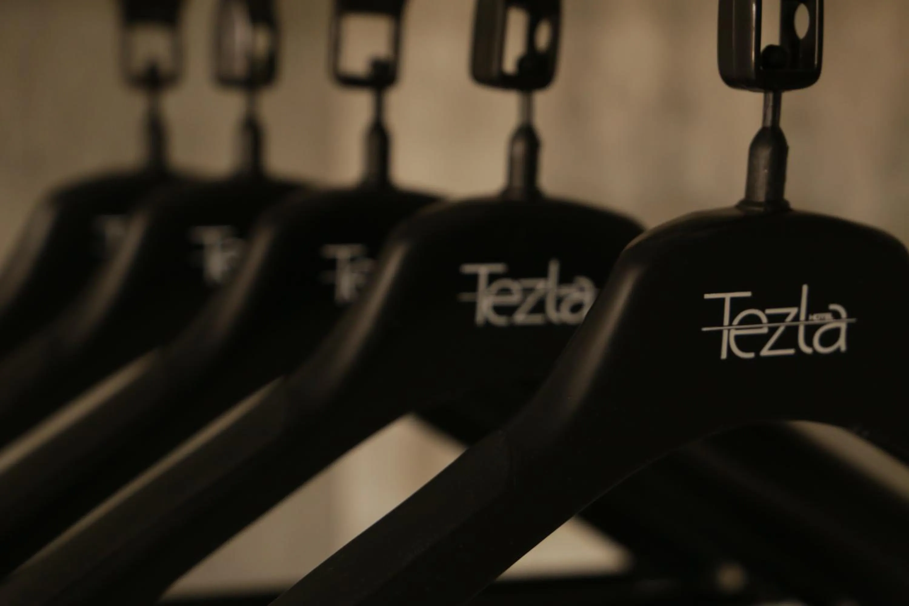 Text overlay in Tezla Hotel