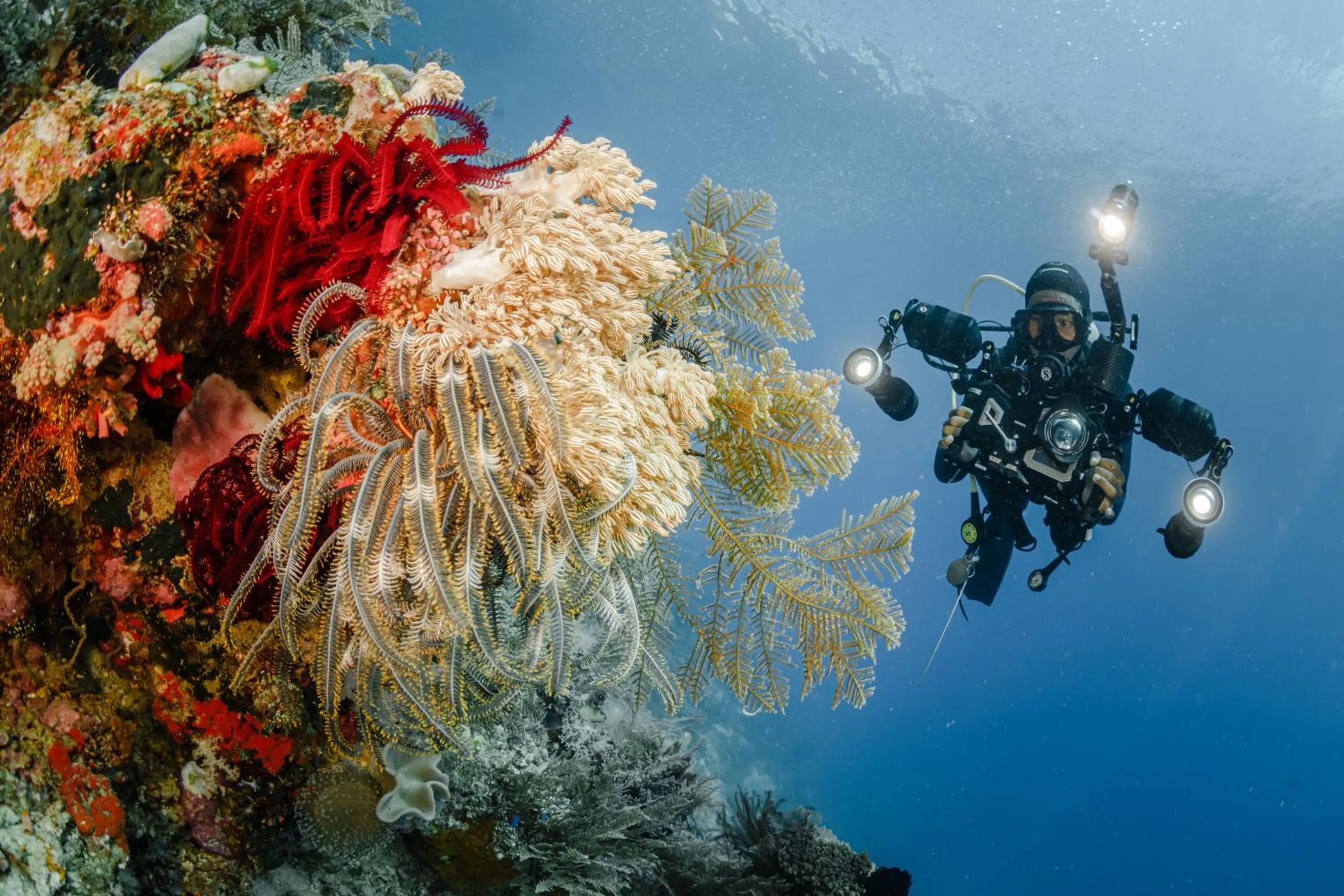 Diving in The Three P Beach Resort & Dive Center