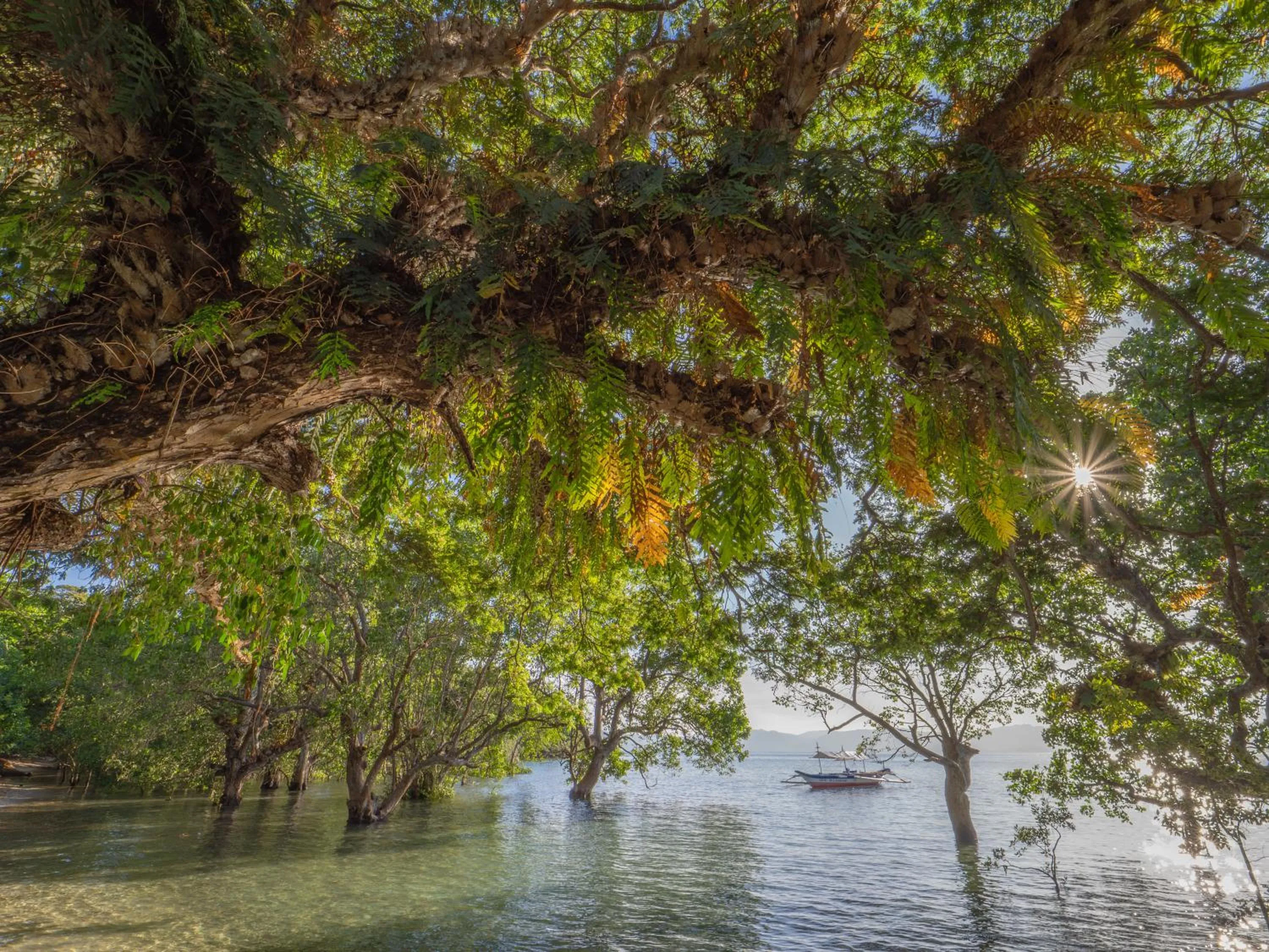 Sea view in The Three P Beach Resort & Dive Center