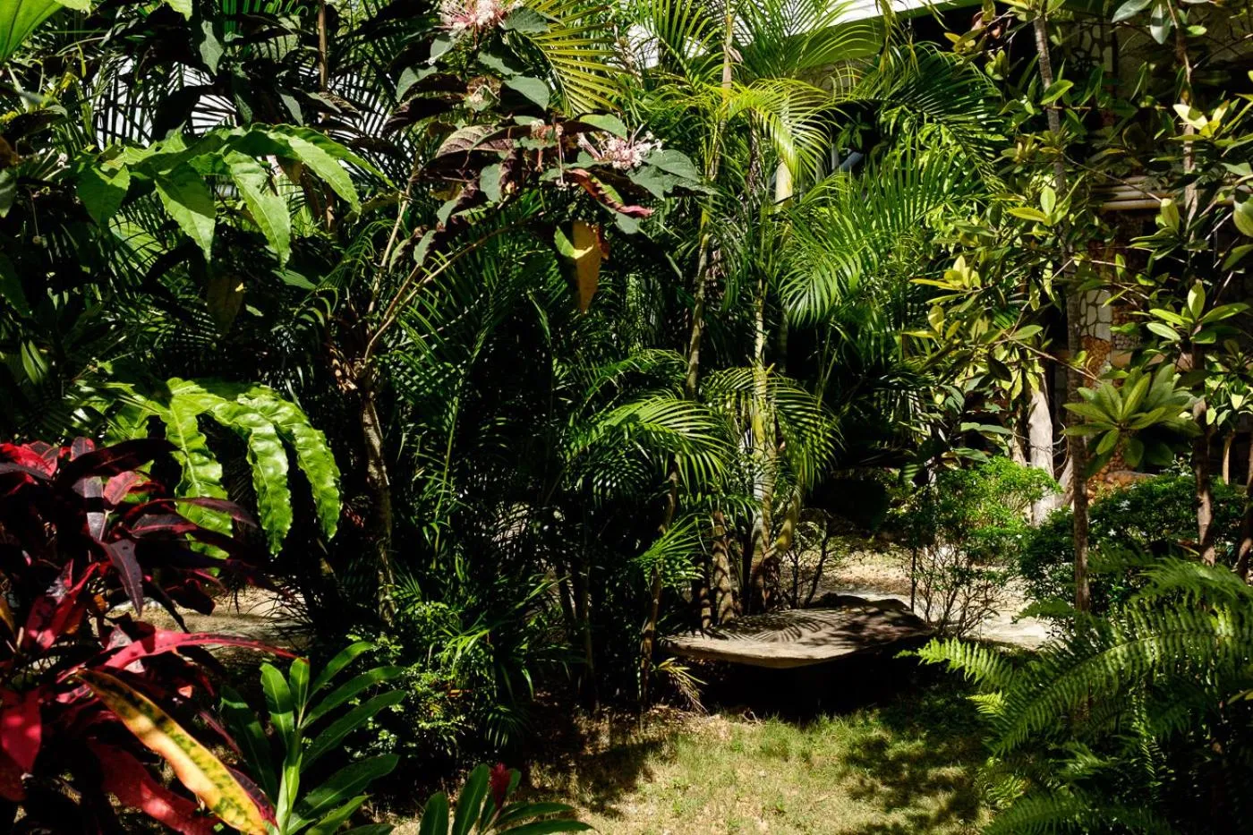 Garden in The Three P Beach Resort & Dive Center