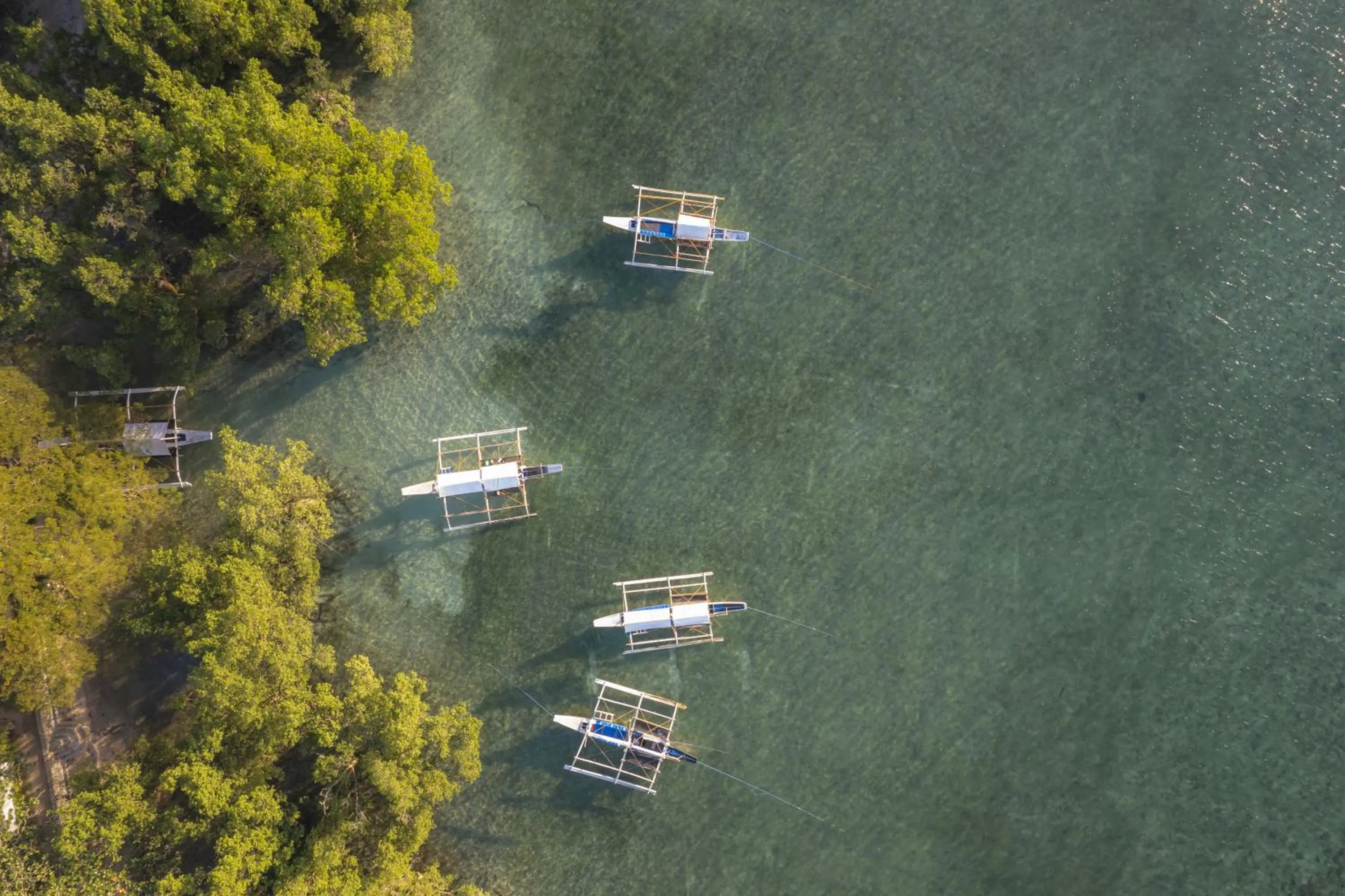 Snorkeling in The Three P Beach Resort & Dive Center
