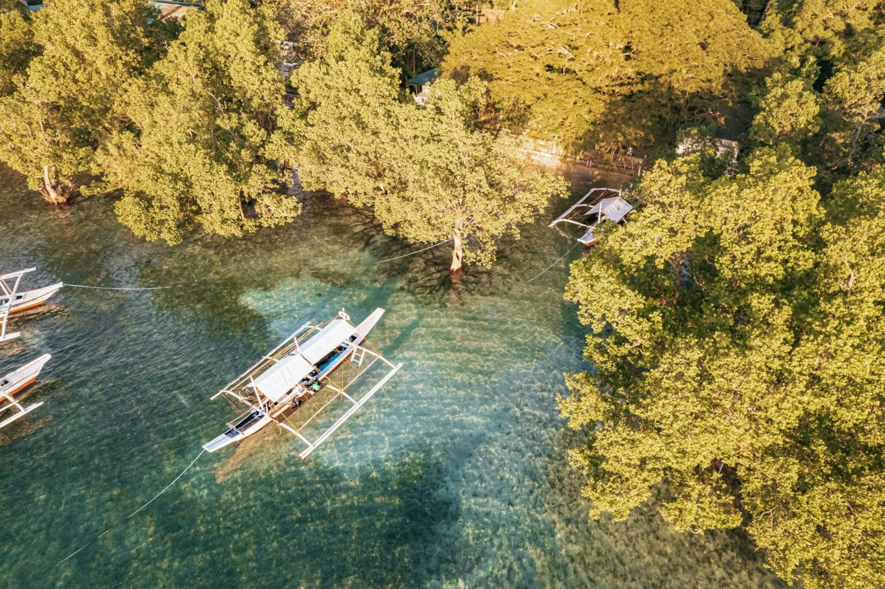 Snorkeling in The Three P Beach Resort & Dive Center