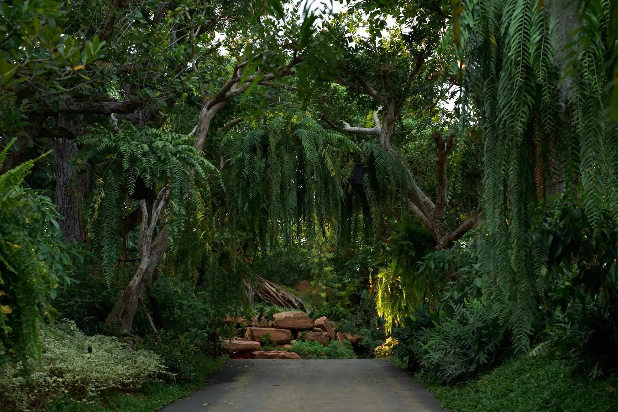 Day in InterContinental Khao Yai Resort by IHG