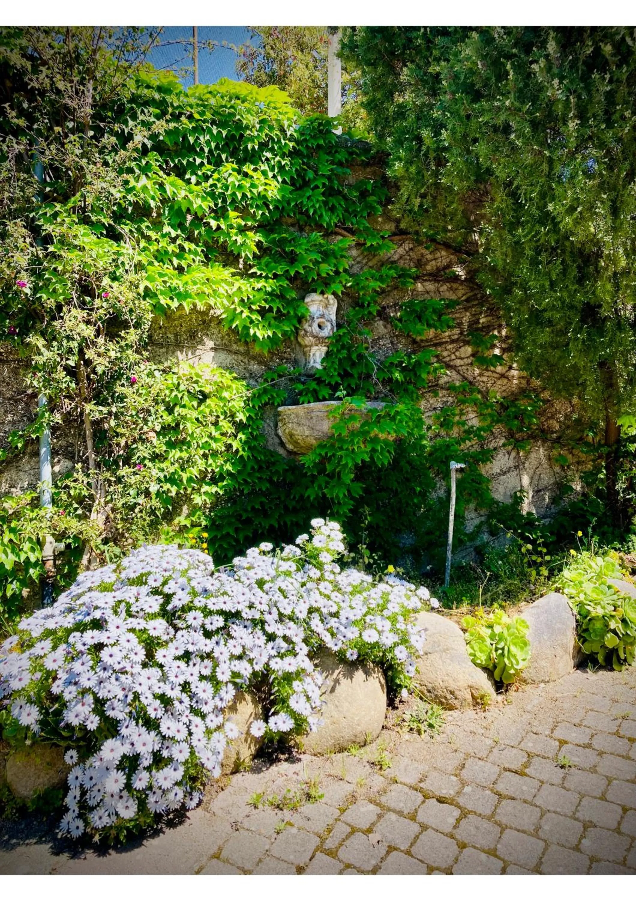 Facade/entrance in Villa Scilla e Cariddi