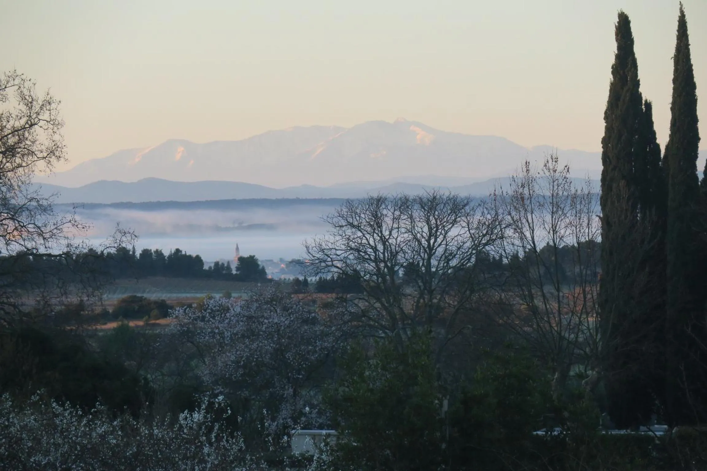 Natural landscape in CheRiedel Bed & Breakfast & Art Gallery