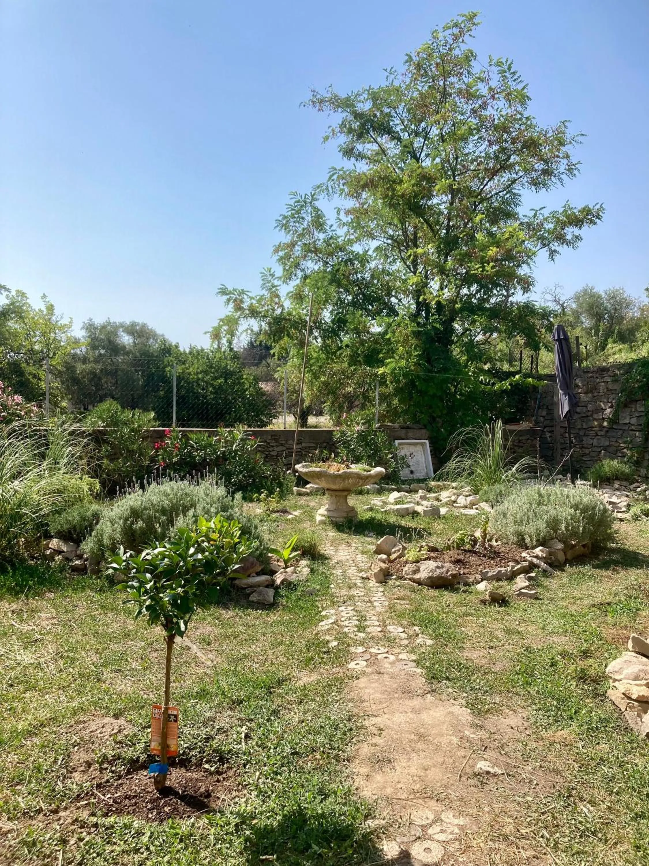 Garden in CheRiedel Bed & Breakfast & Art Gallery