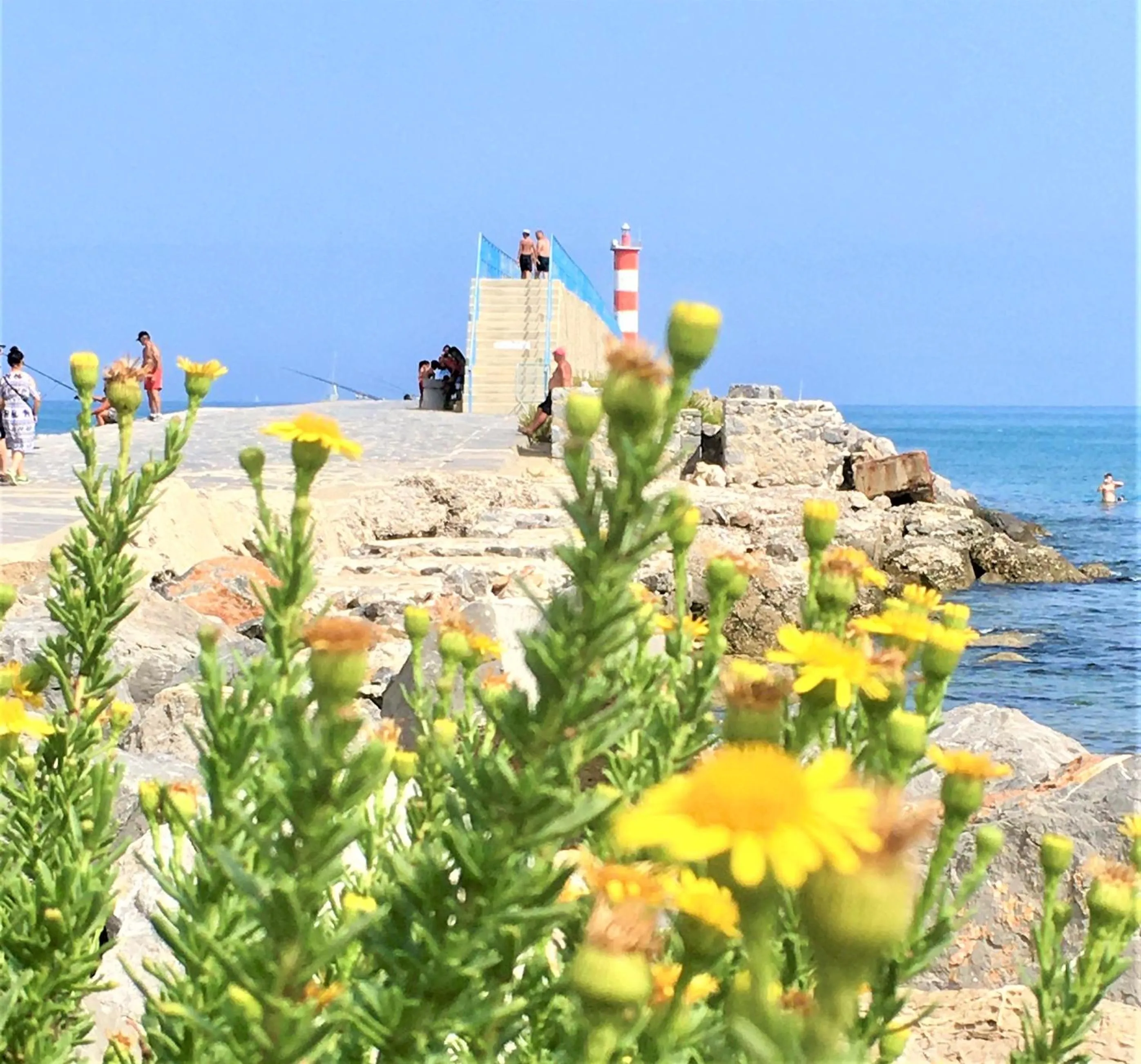 Nearby landmark in CheRiedel Bed & Breakfast & Art Gallery