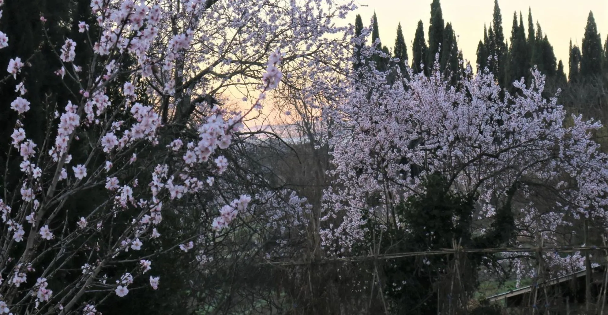 Natural landscape in CheRiedel Bed & Breakfast & Art Gallery