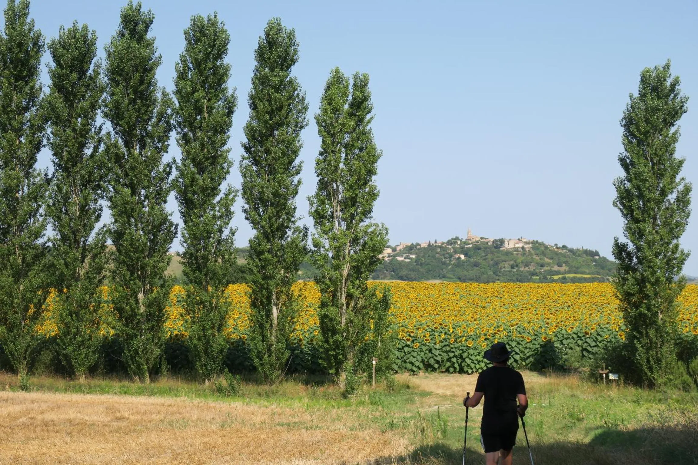 Hiking in CheRiedel Bed & Breakfast & Art Gallery