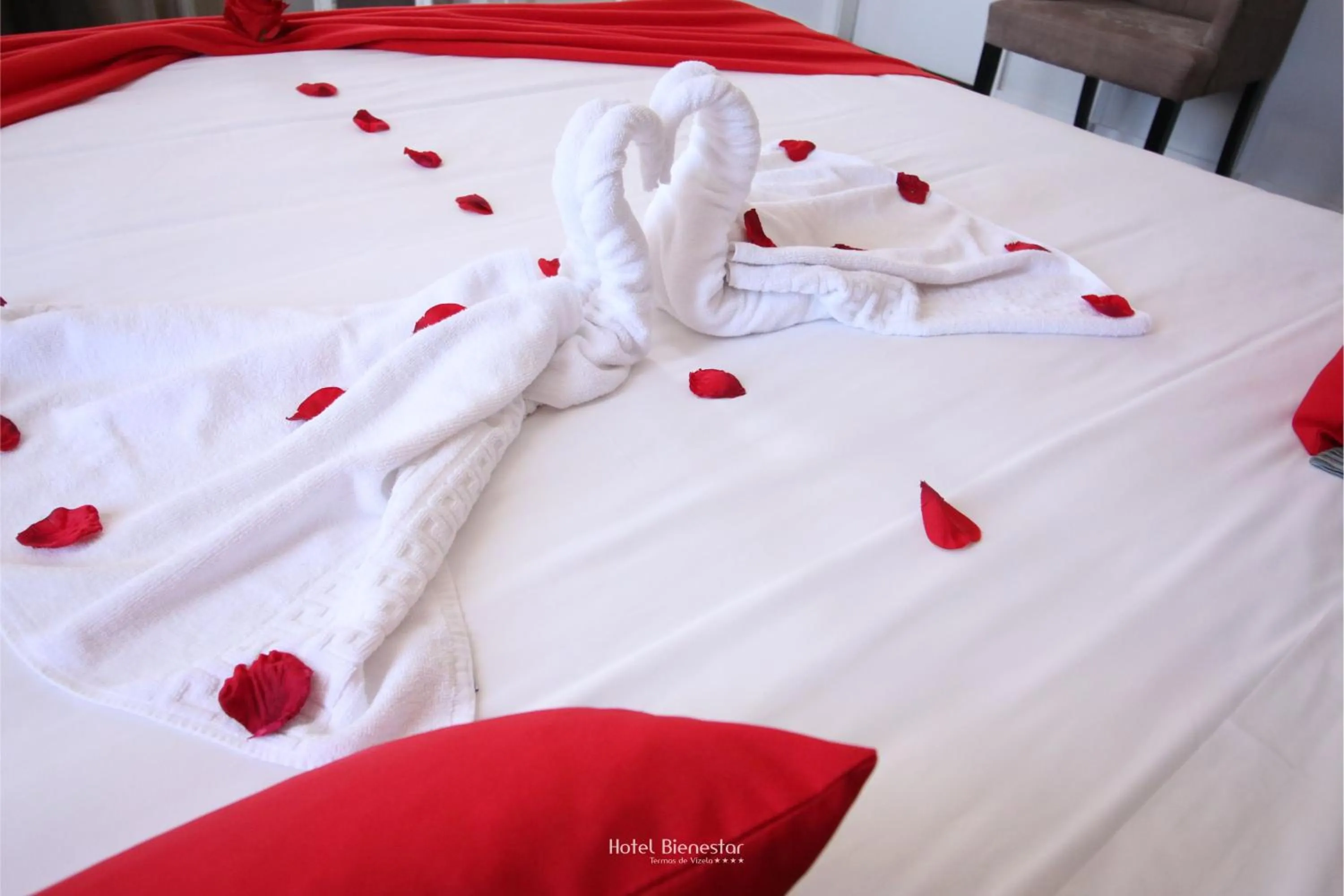 Decorative detail, Bed in Hotel Bienestar Termas De Vizela