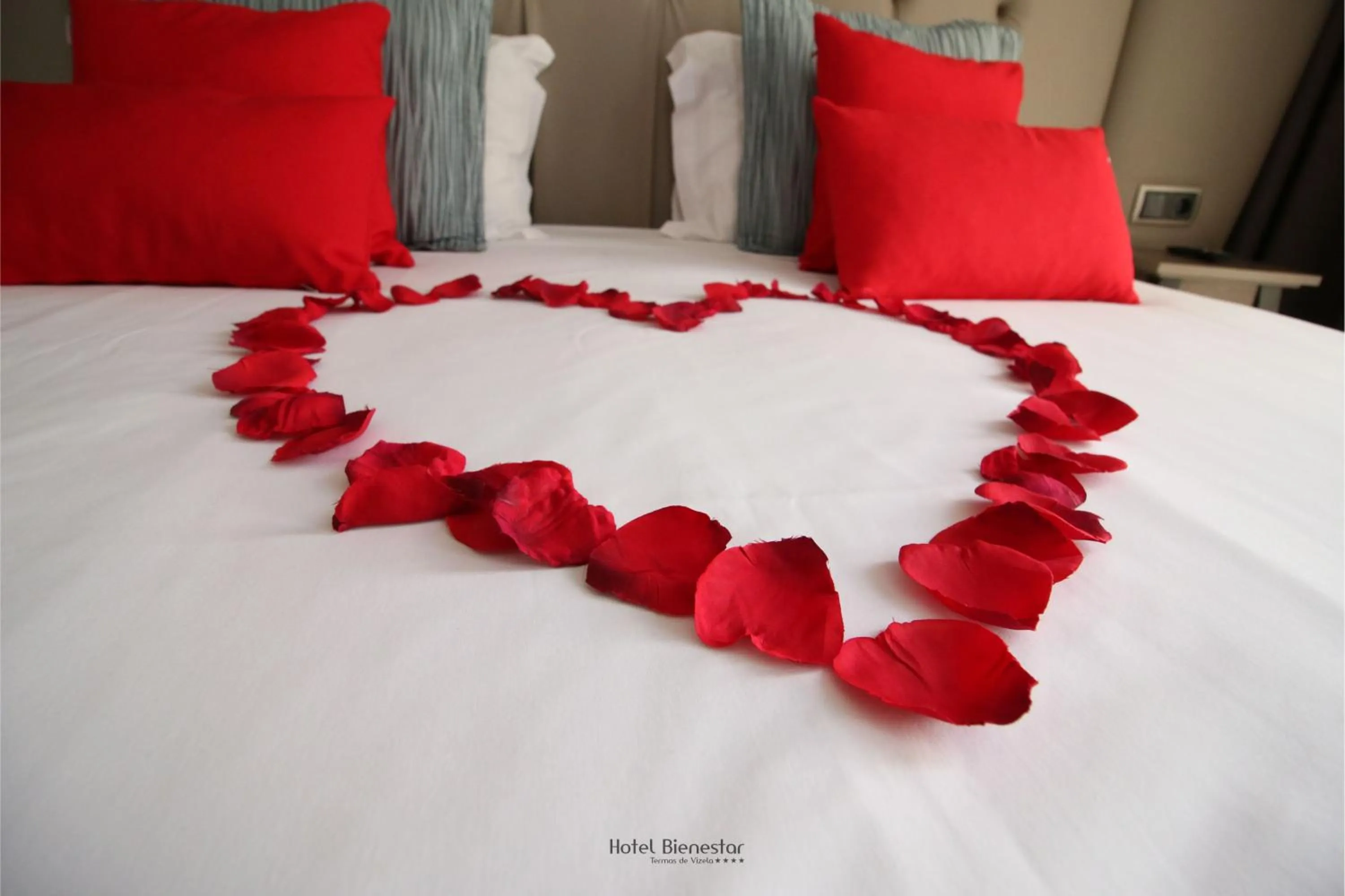 Decorative detail, Bed in Hotel Bienestar Termas De Vizela