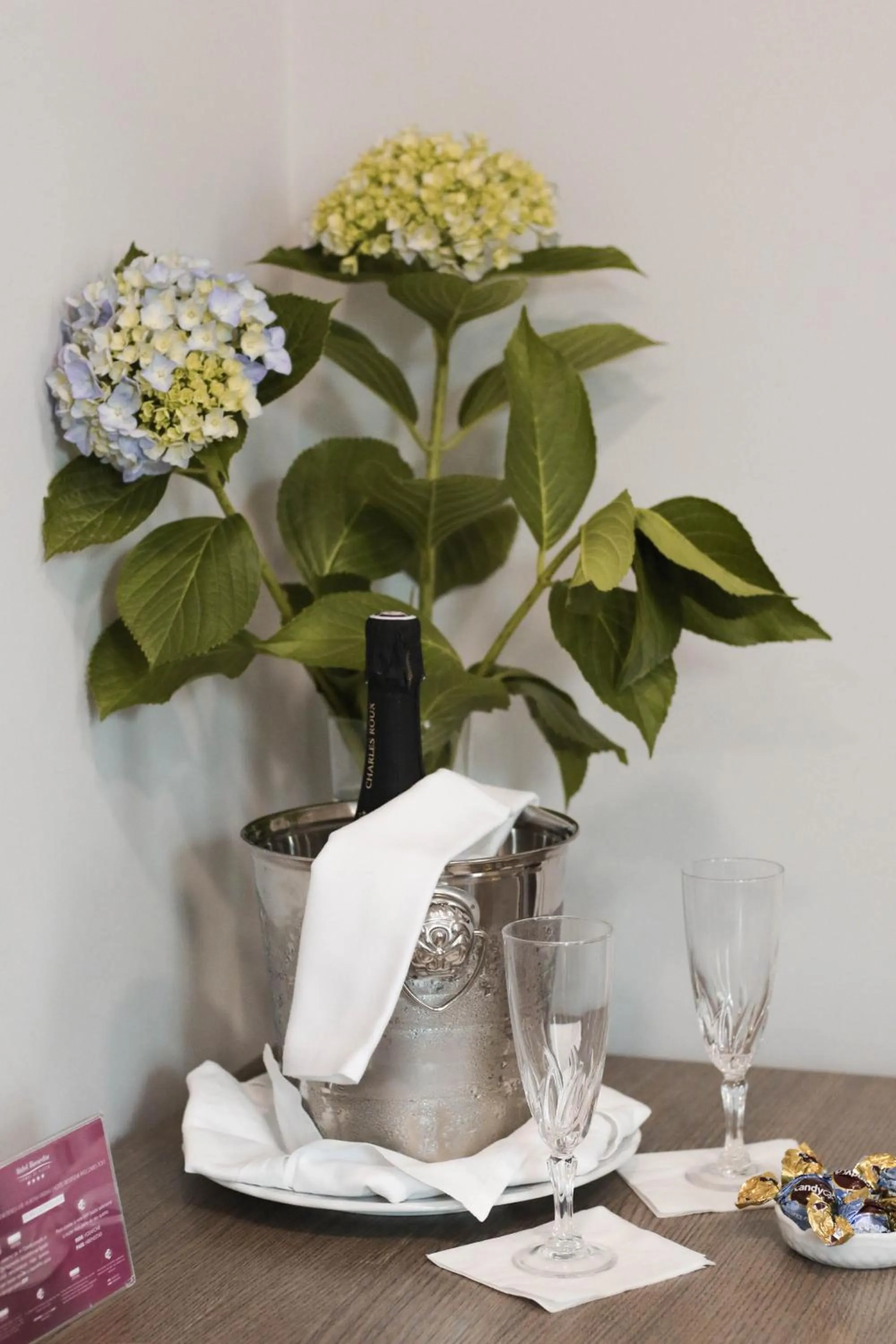 VIP in Hotel Bienestar Termas De Vizela