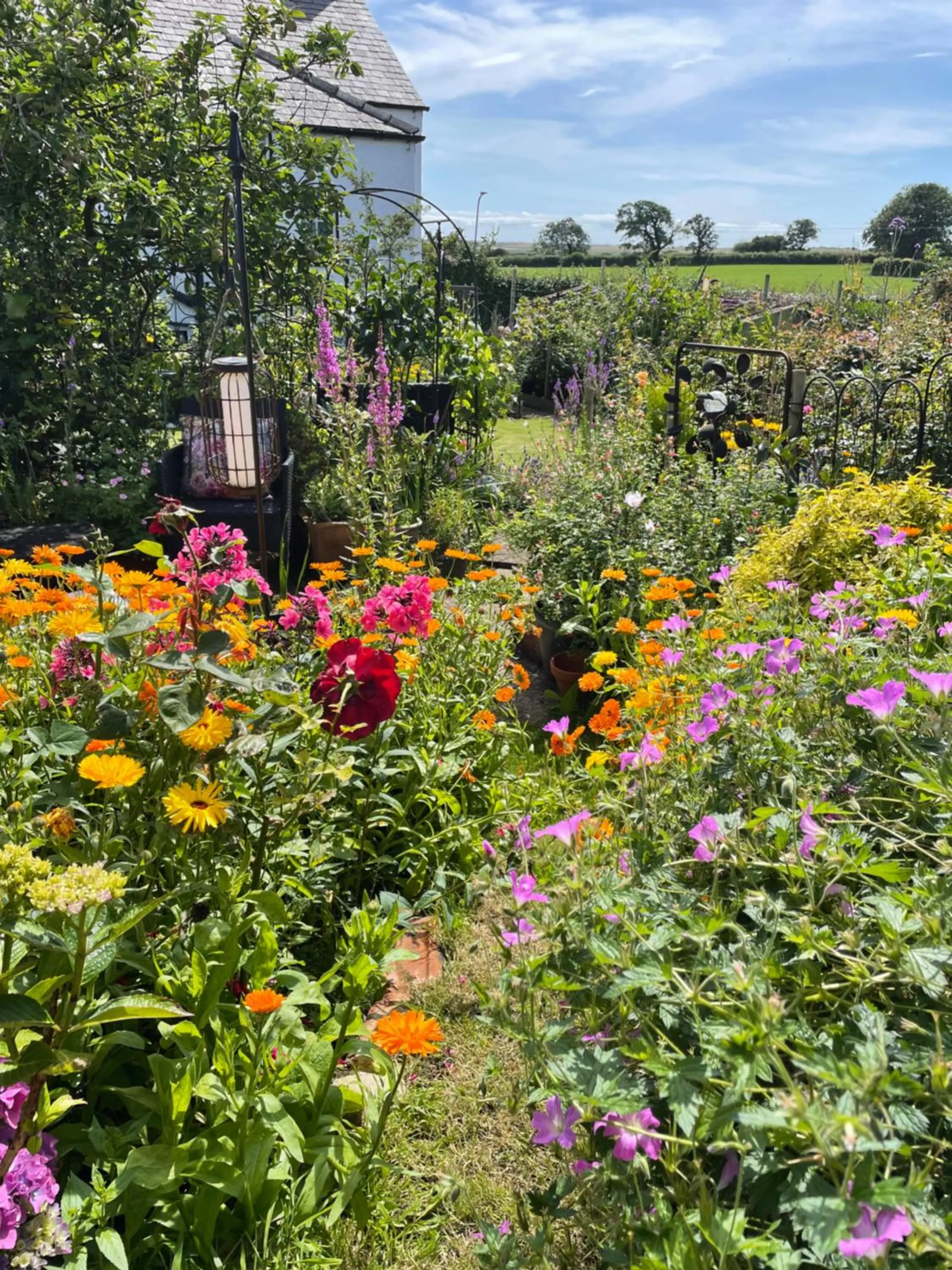 View (from property/room) in Dale View bed & breakfast