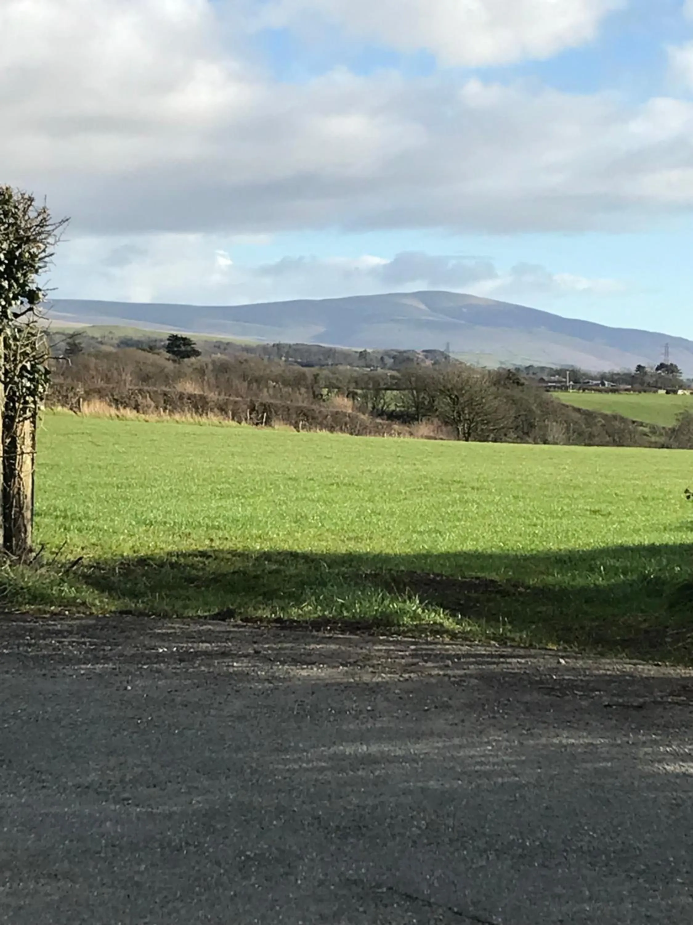Natural landscape in Dale View bed & breakfast