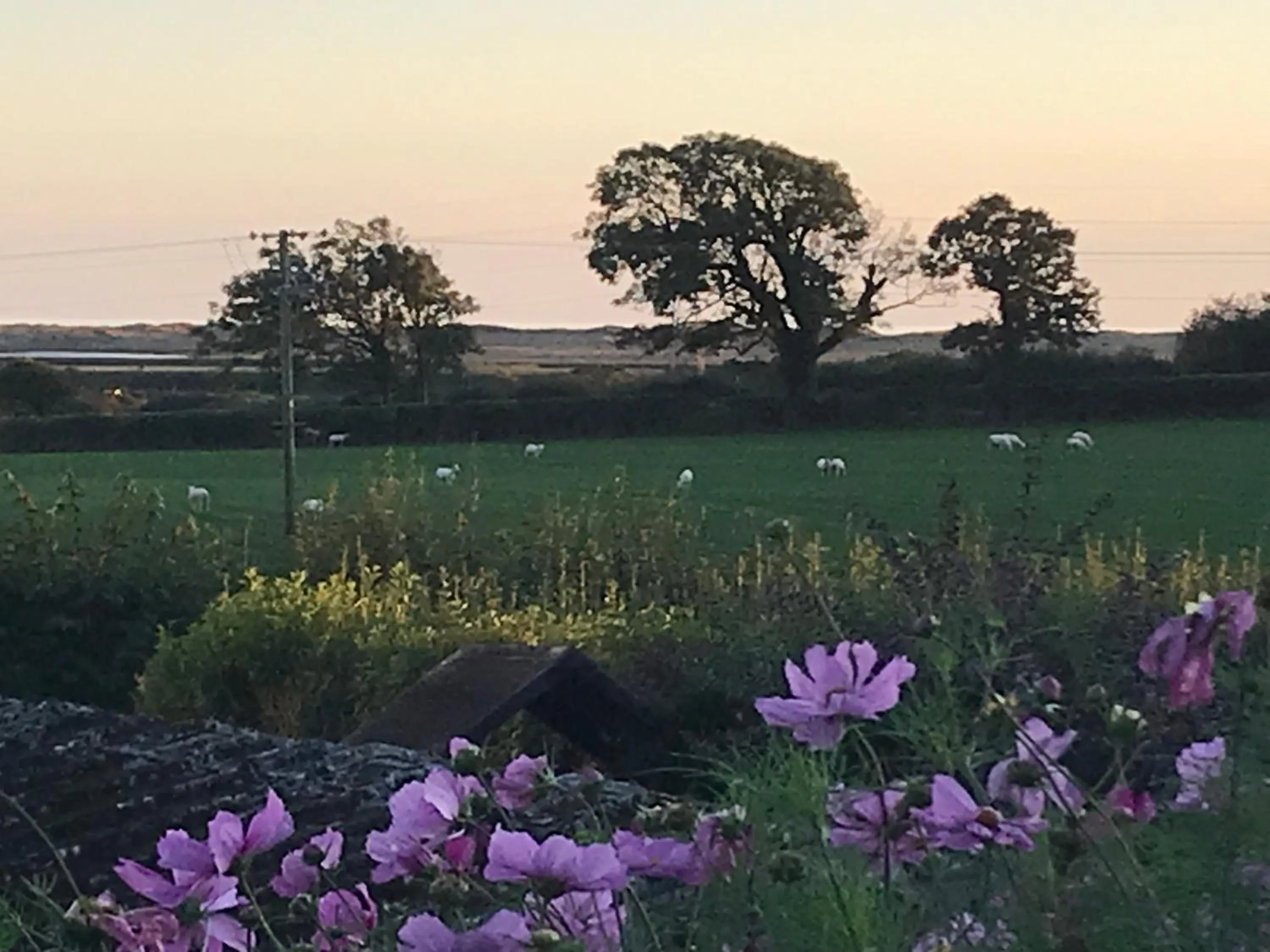 View (from property/room) in Dale View bed & breakfast