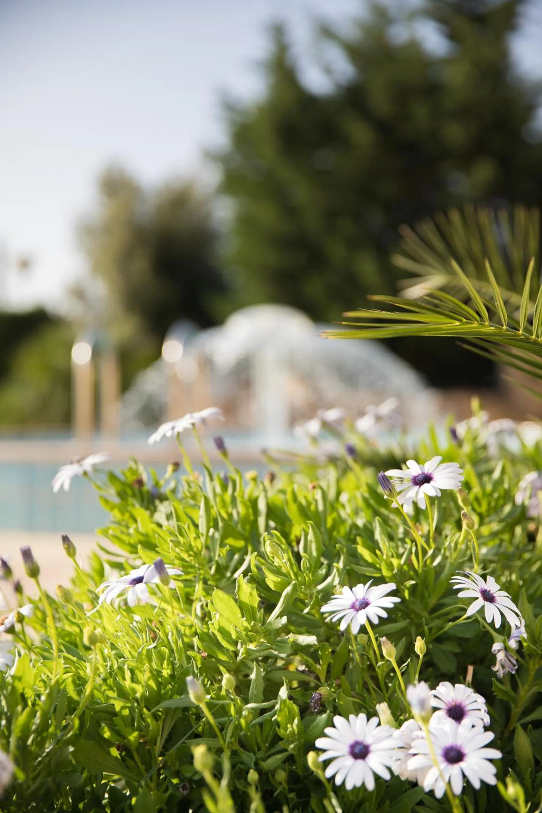 Garden in Lu' Hotel Porto Pino