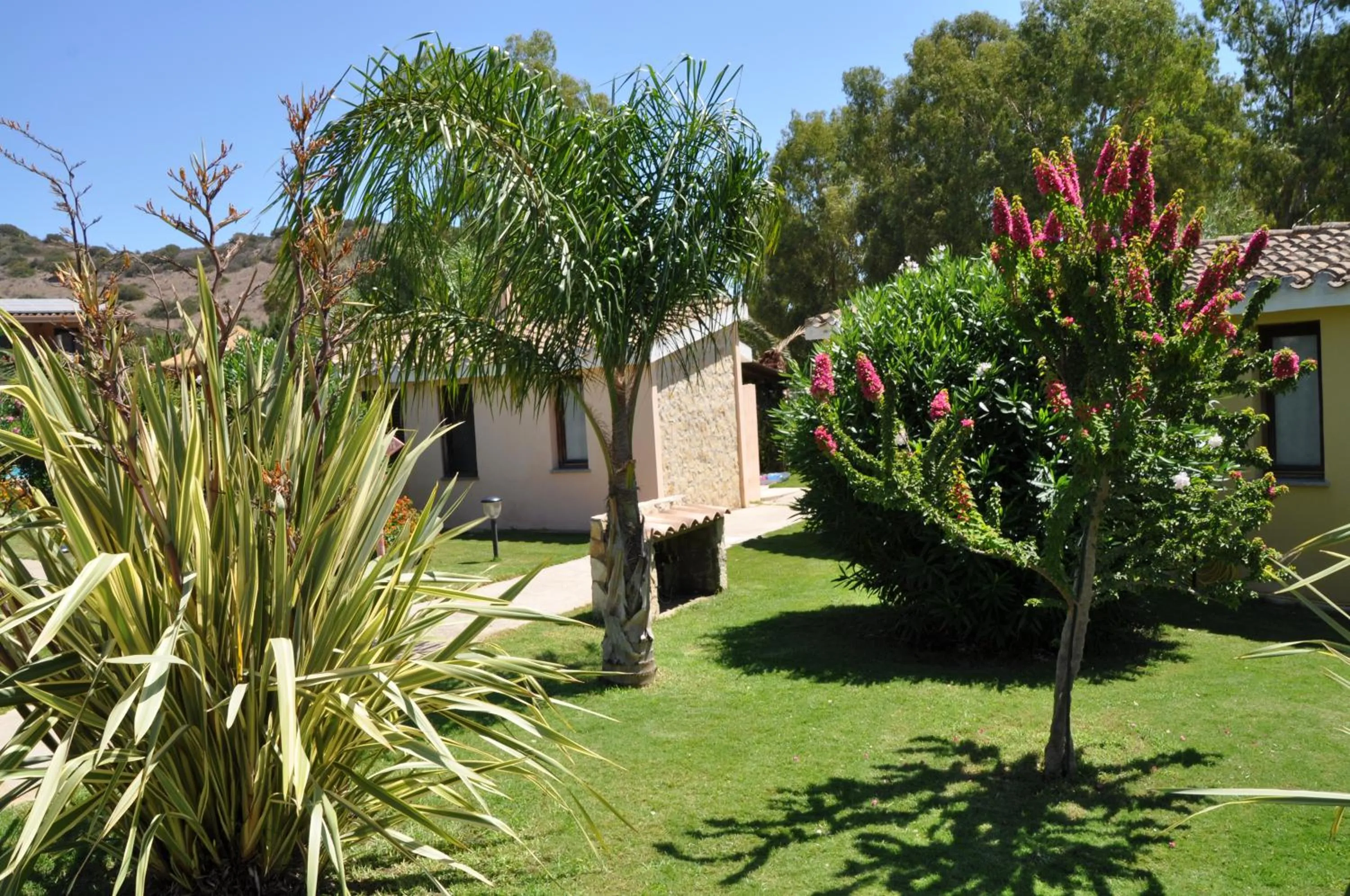 Garden in Green Village Resort