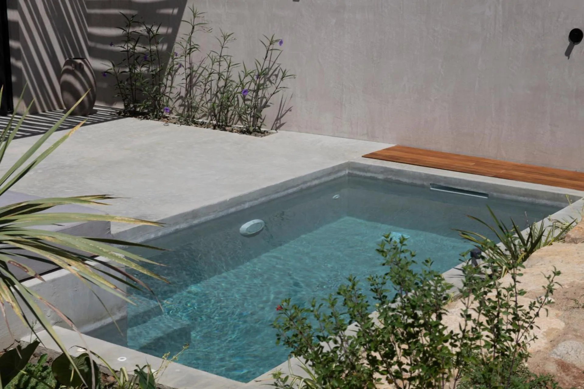 Swimming pool in Pure Villas