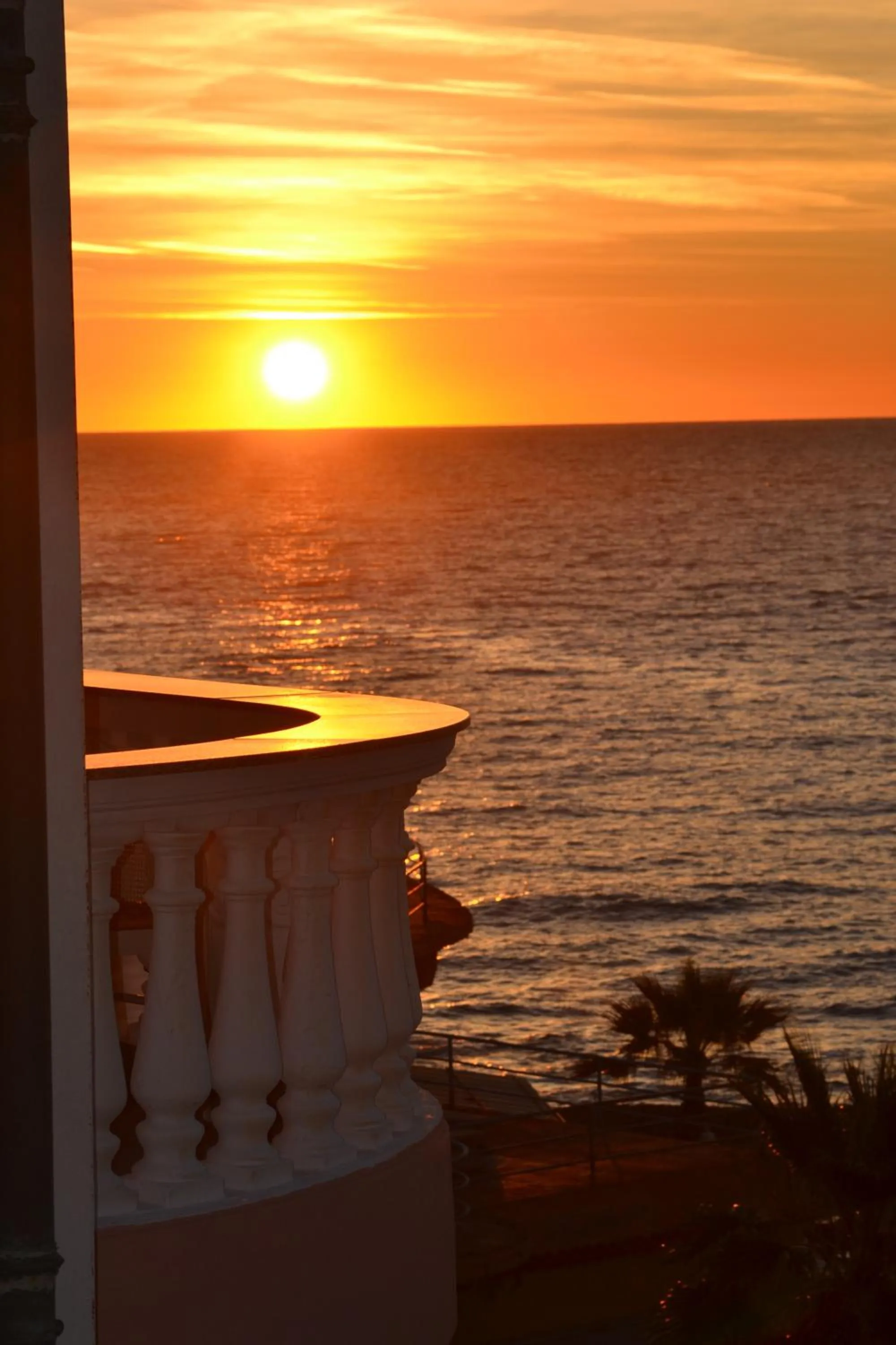 Balcony/Terrace in Hotel Piccolo Lido