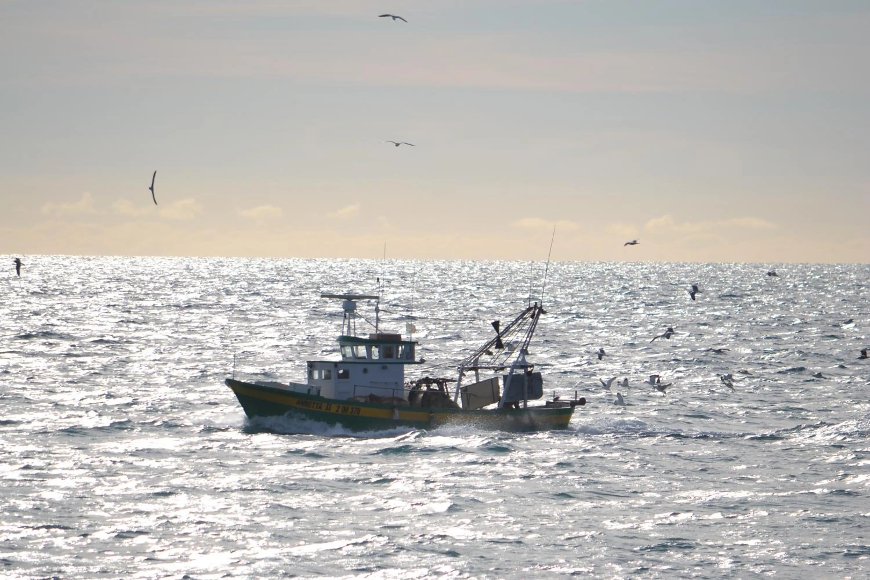 View (from property/room) in Hotel Piccolo Lido