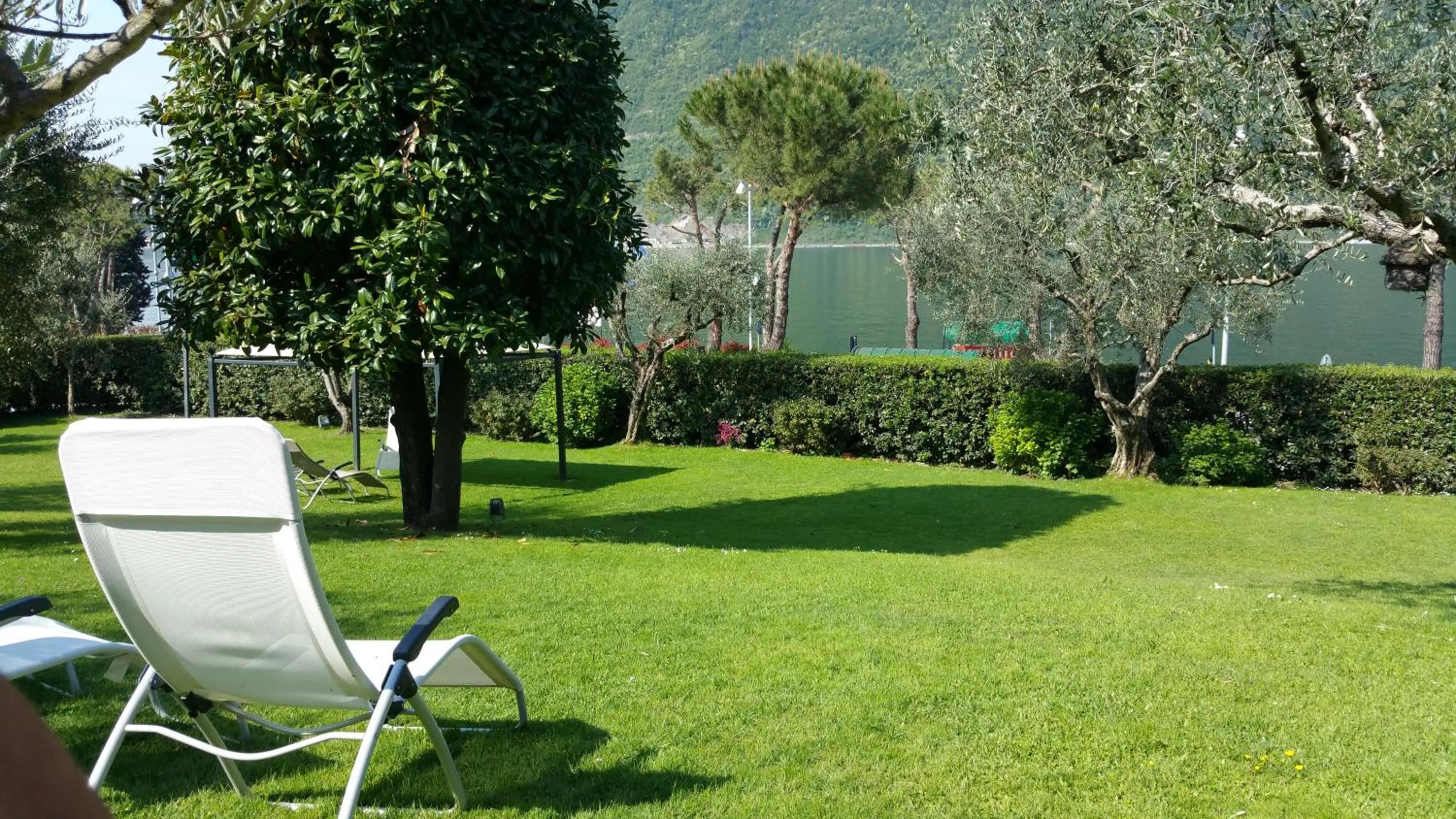 Garden in Villa Kinzica