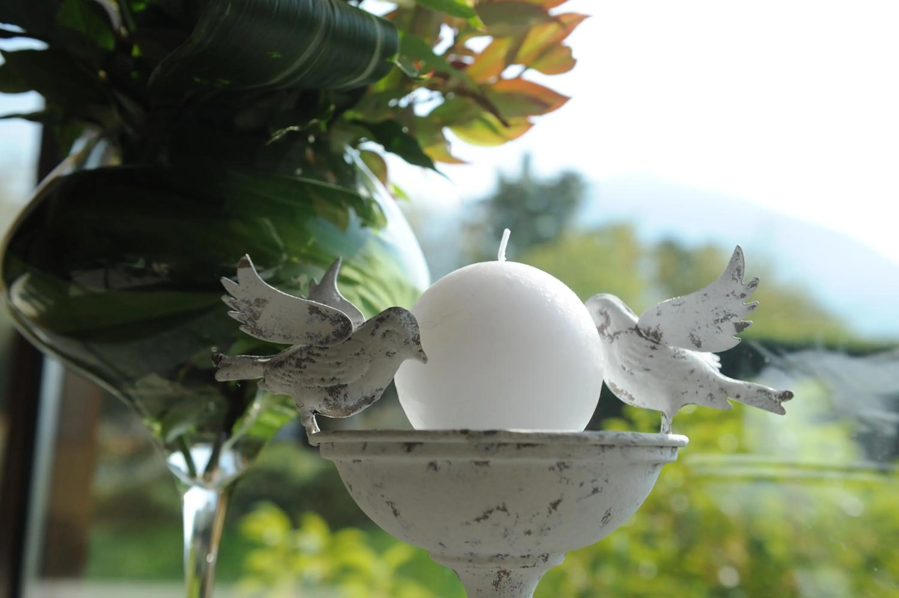 Restaurant/places to eat in Villa Kinzica