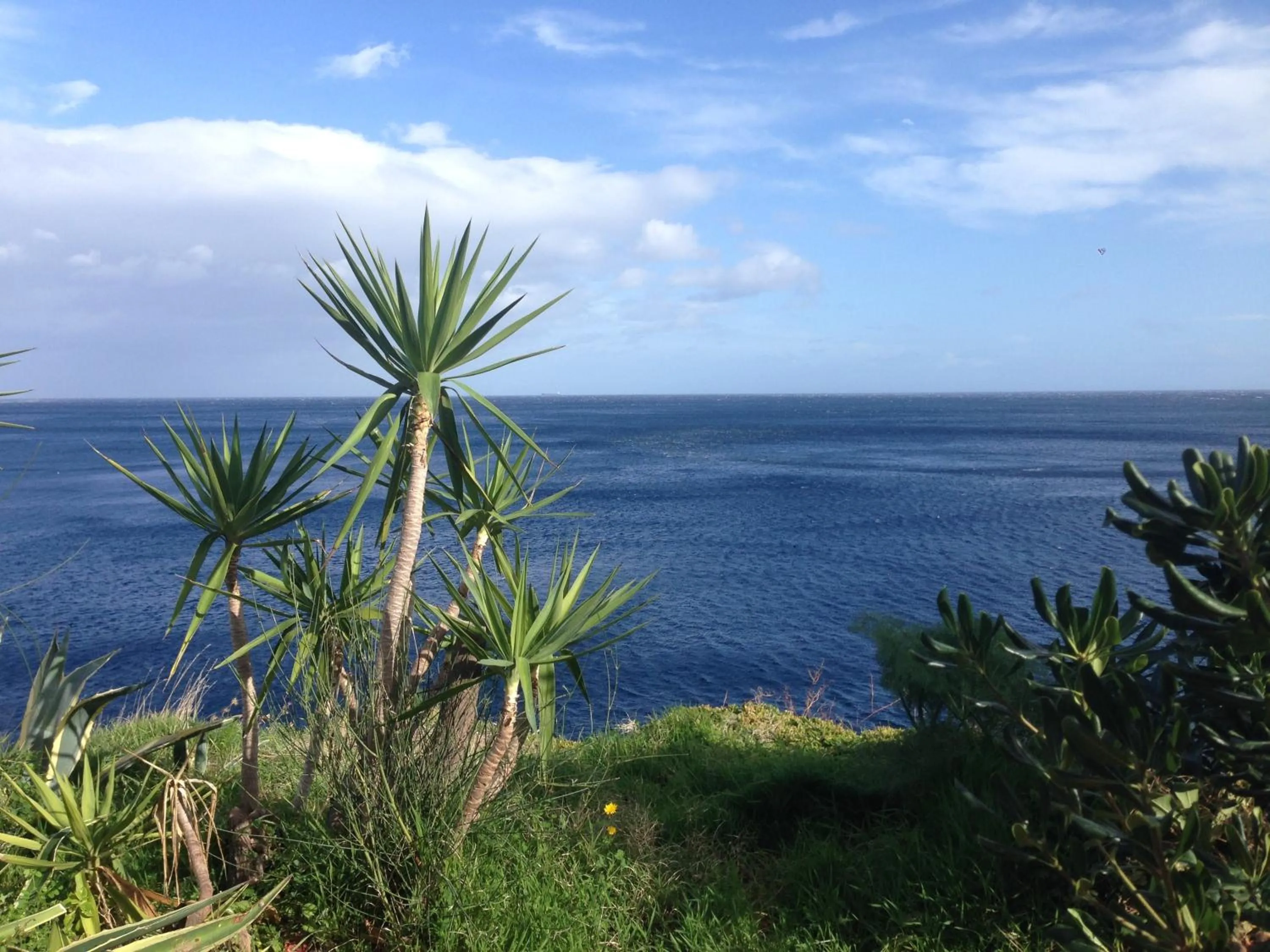 Facade/entrance in Hotel Carasco