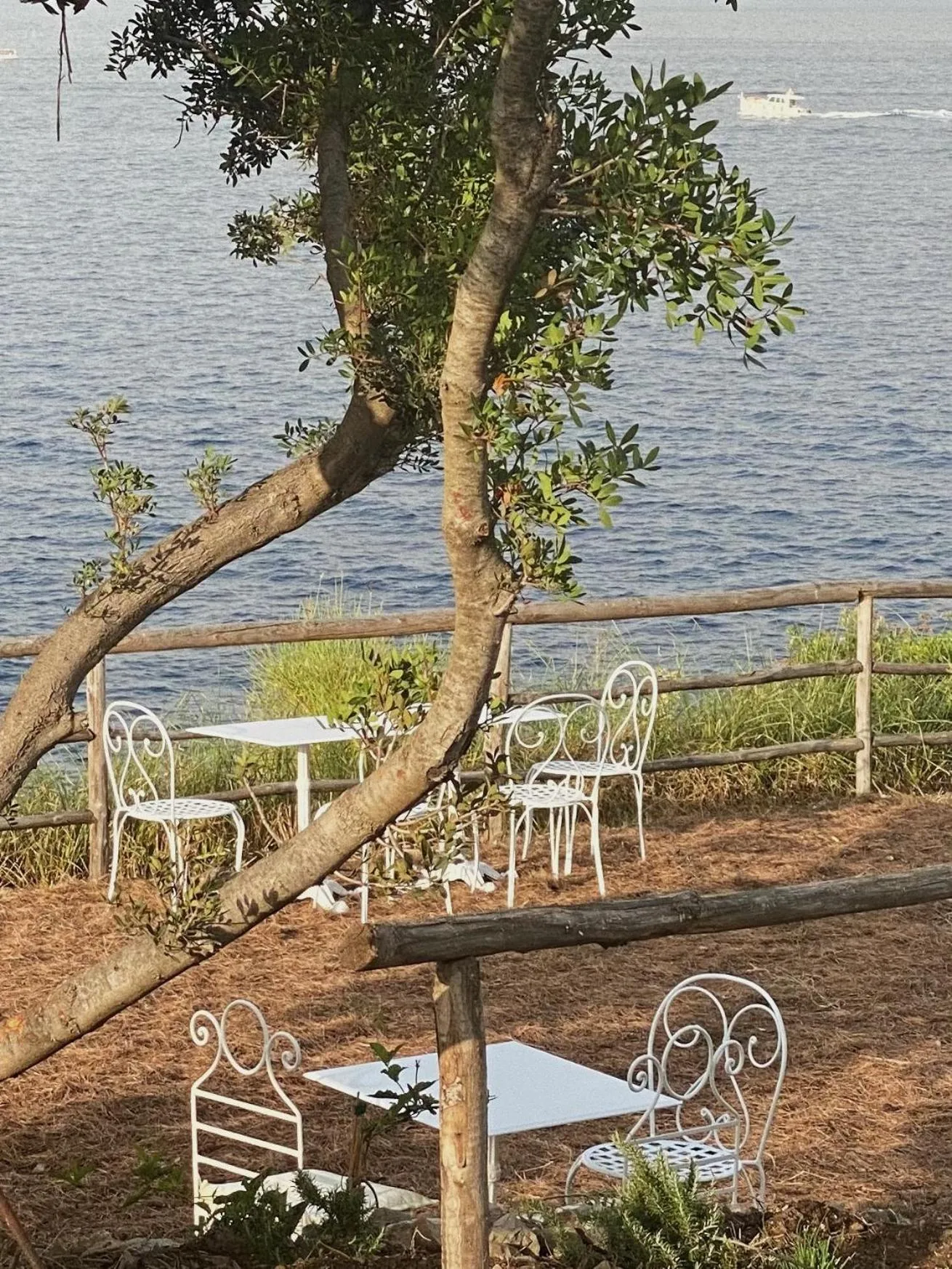 Day in Hotel Carasco