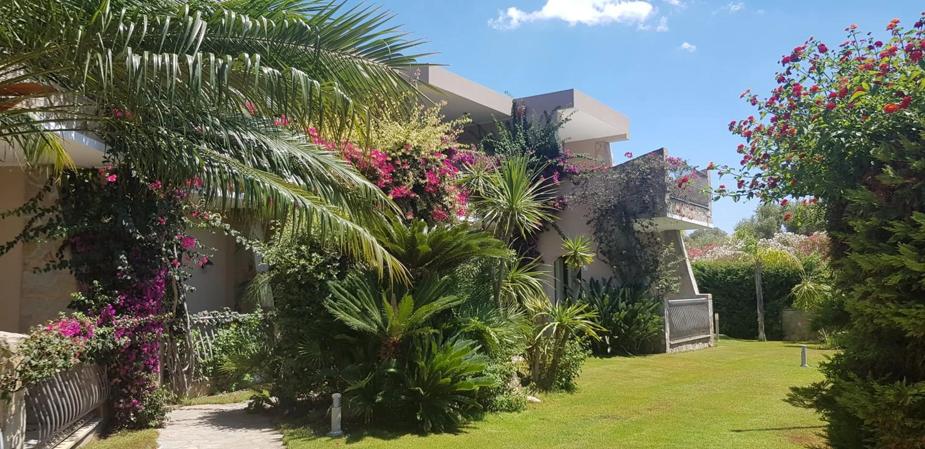 Garden in Palm Village