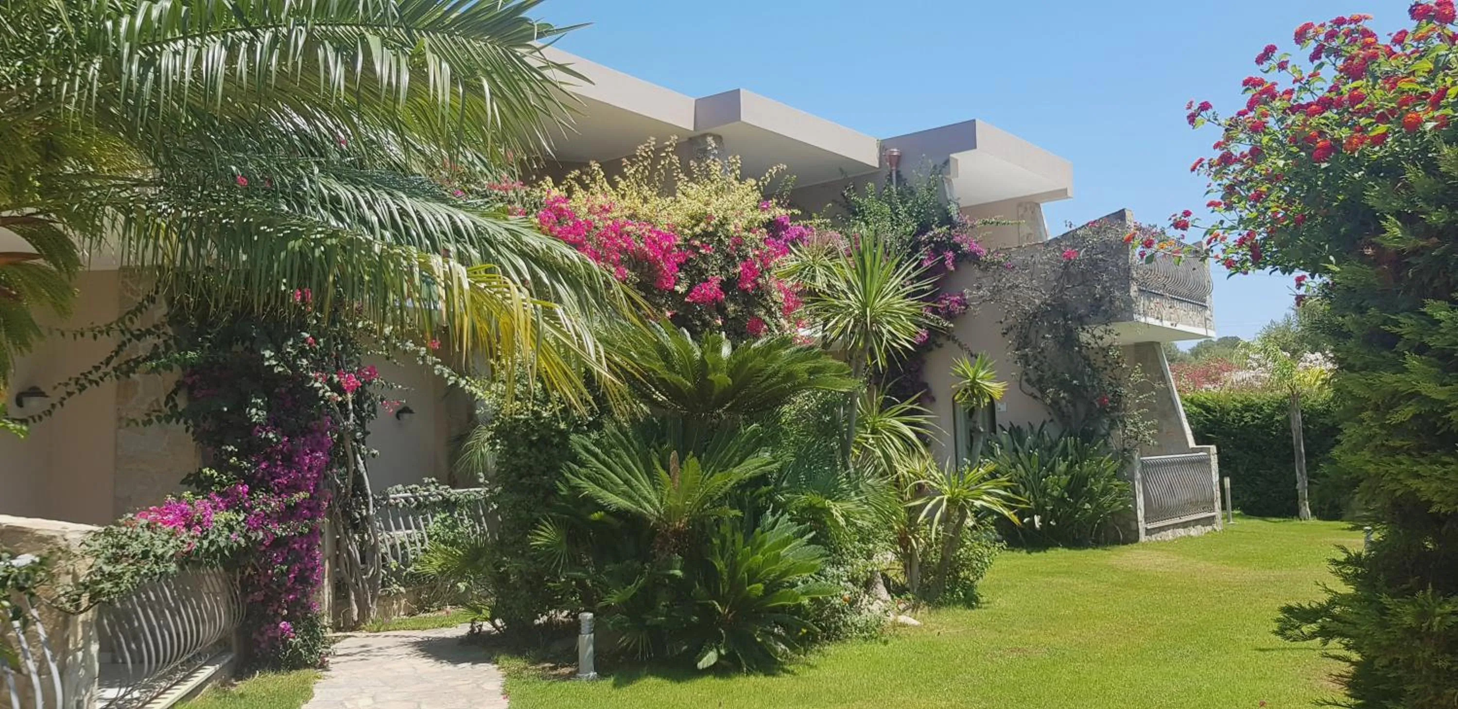 Garden in Palm Village