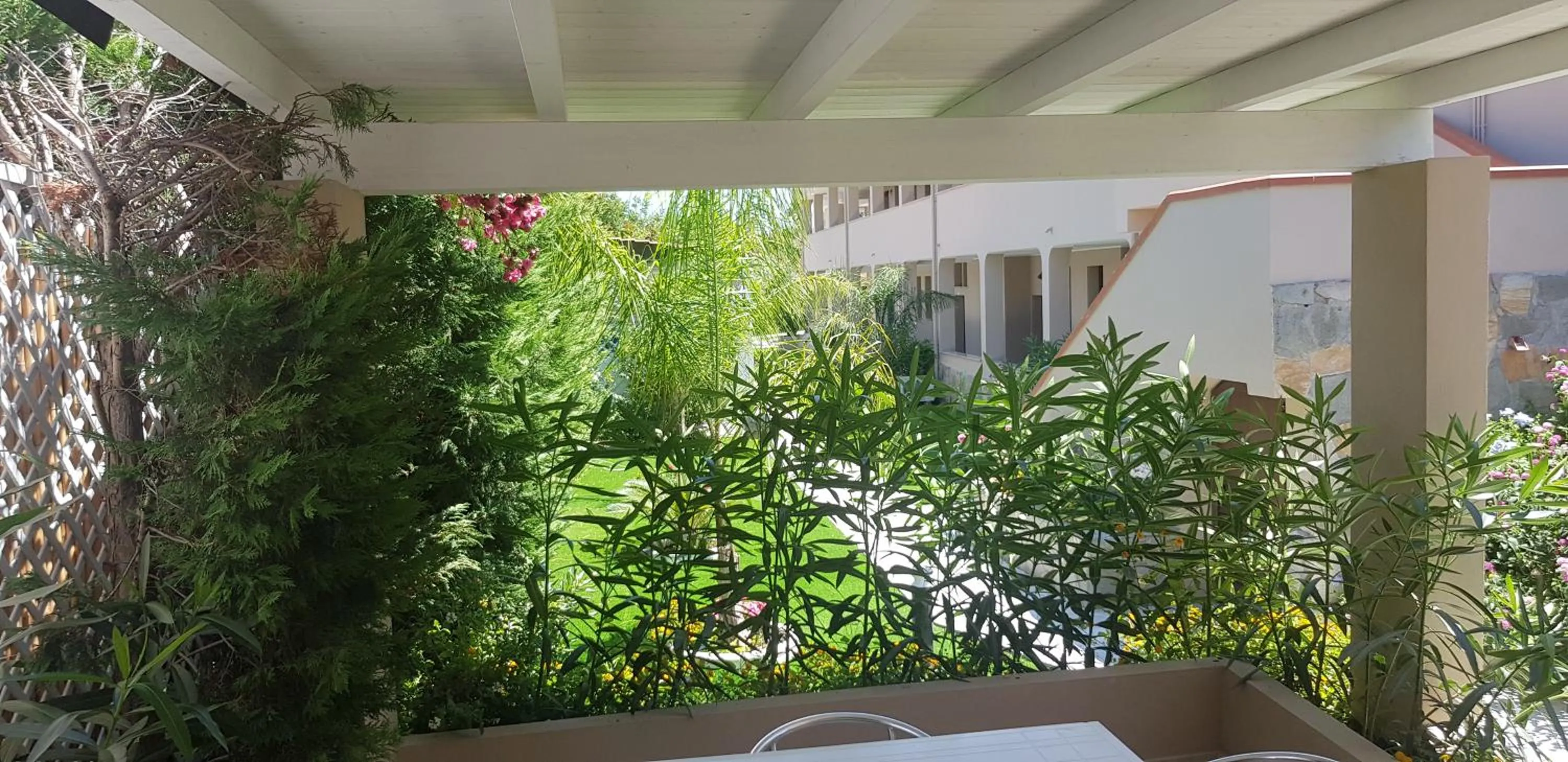 Patio in Palm Village