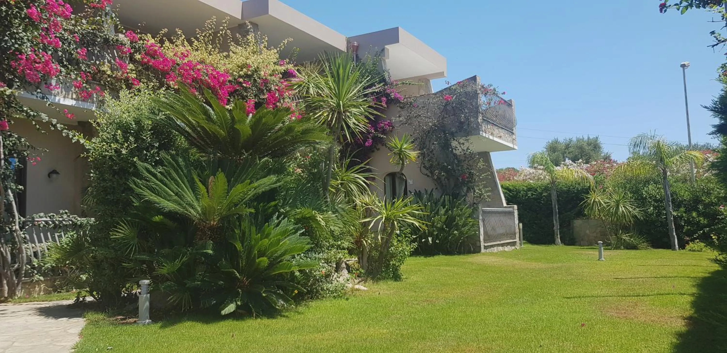 Garden in Palm Village