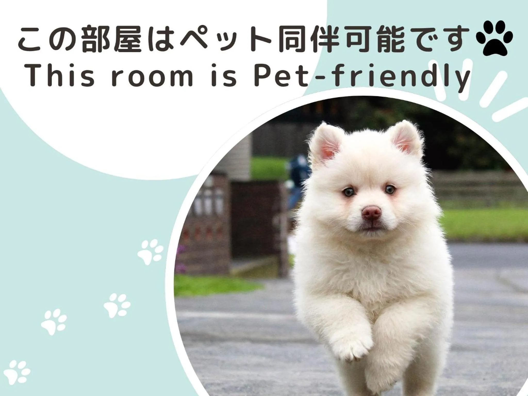 Suite with Sauna - single occupancy - Pet Friendly in HOTEL PACIFIC VIEW Rental car included & pet-friendly