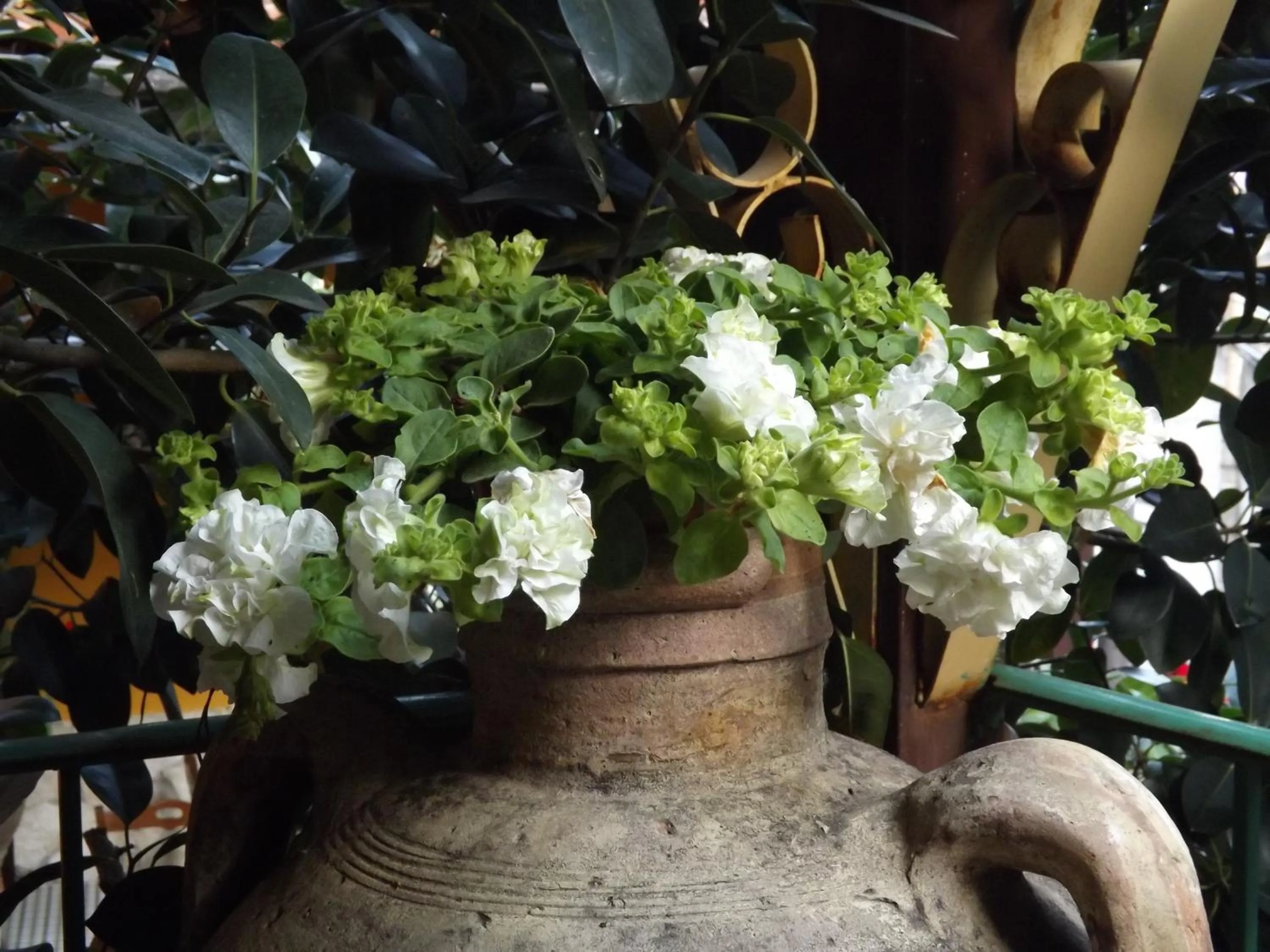 Spring in Albergo Diffuso Borgo Santa Caterina "Vintage"